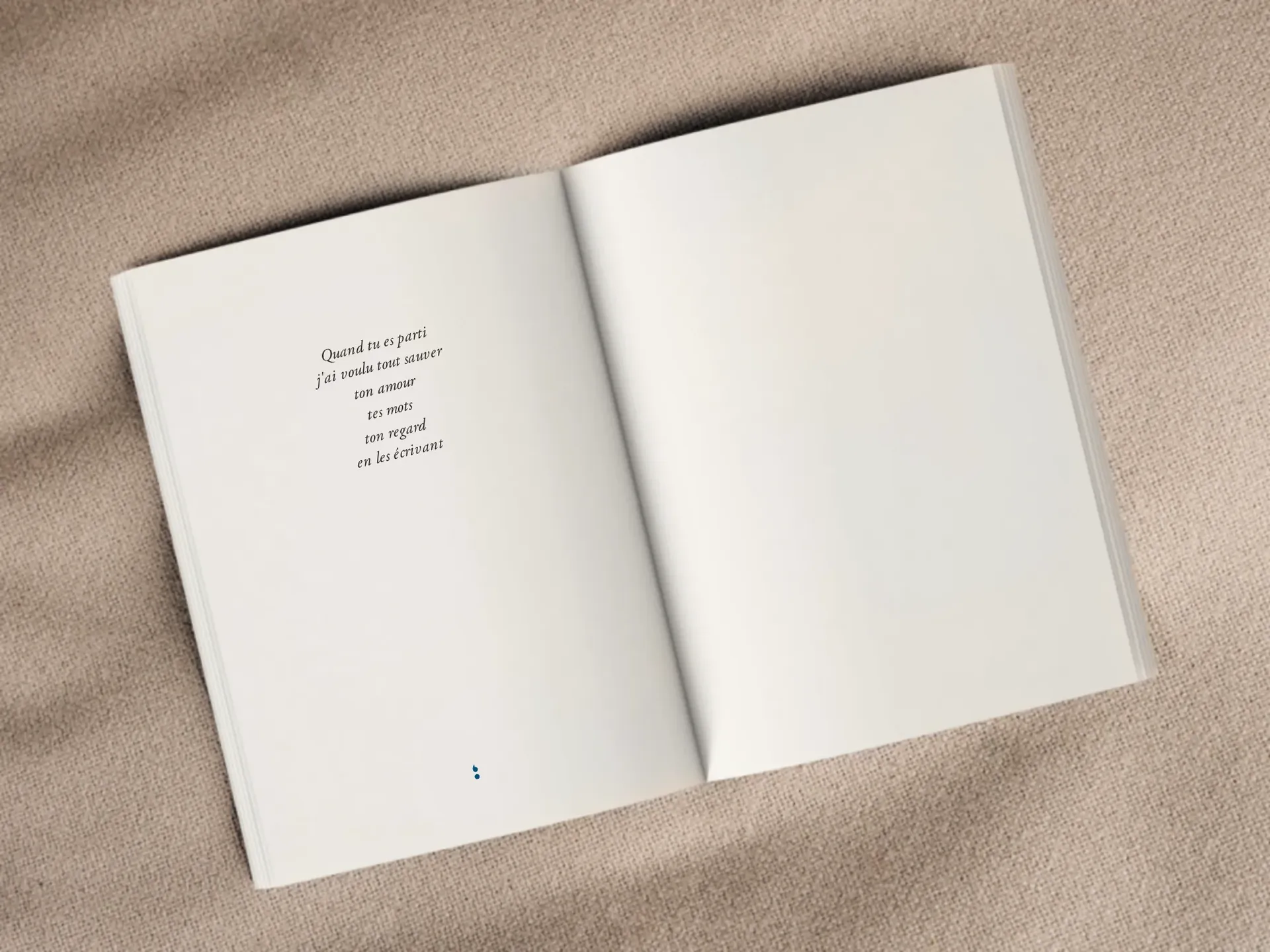 Cover of the book
