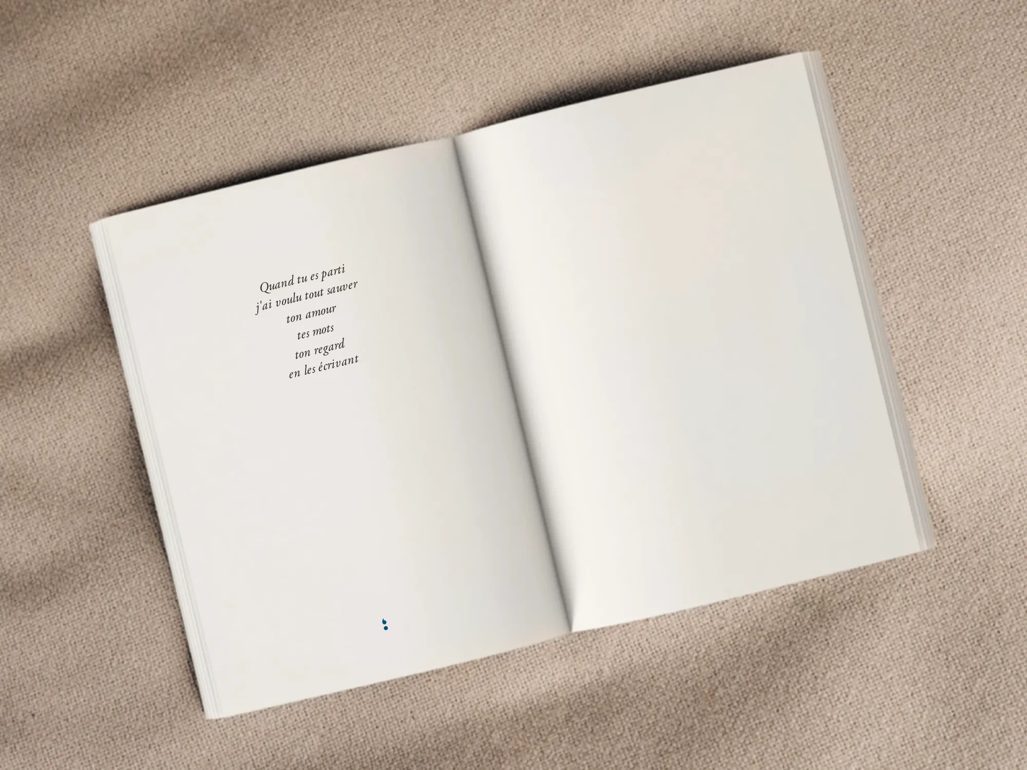 Cover of the book
