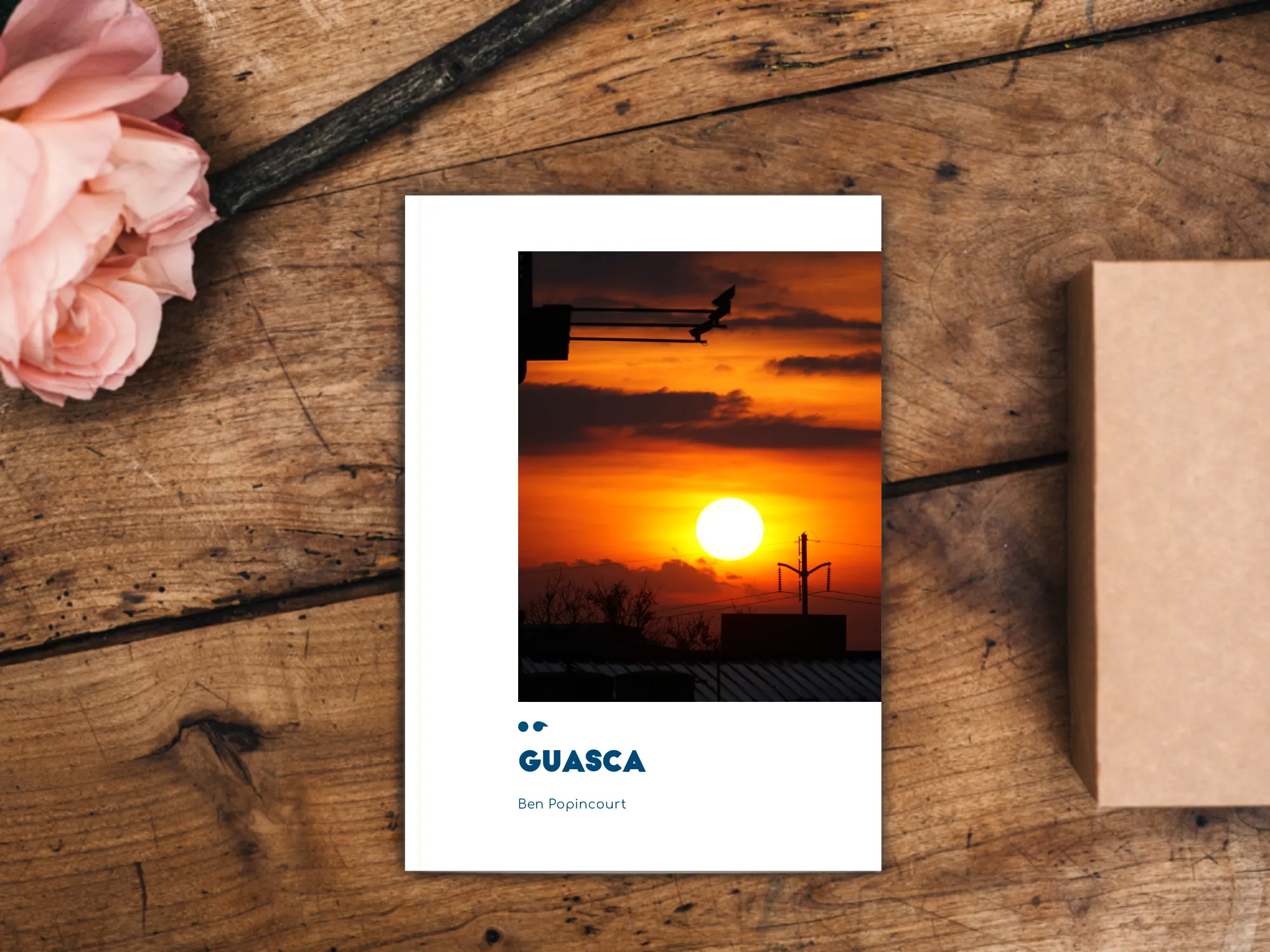Cover of the book