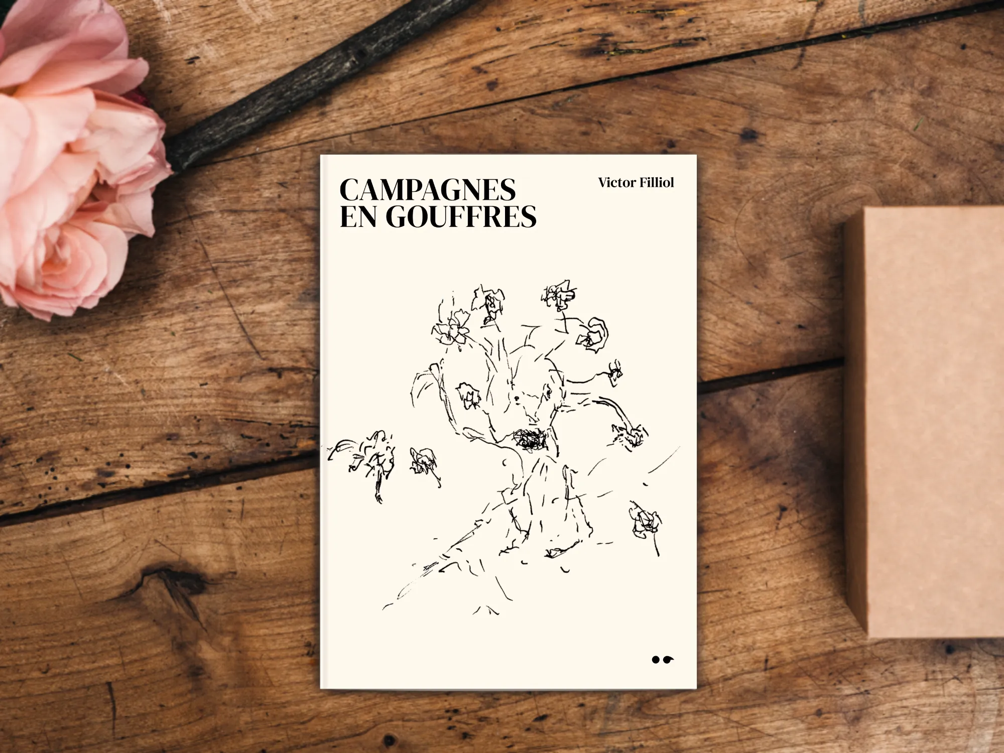 Cover of the book