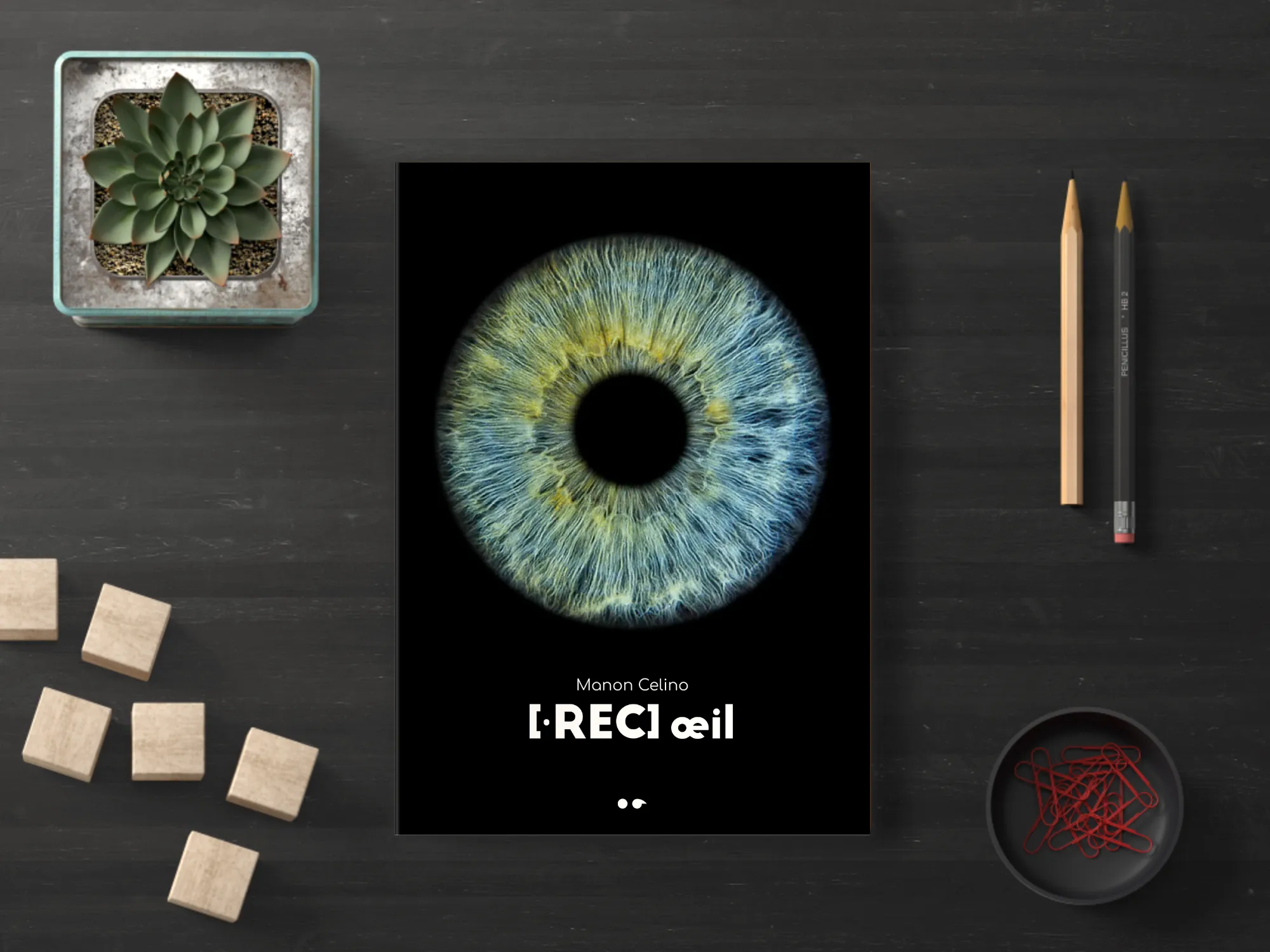 Cover of the book