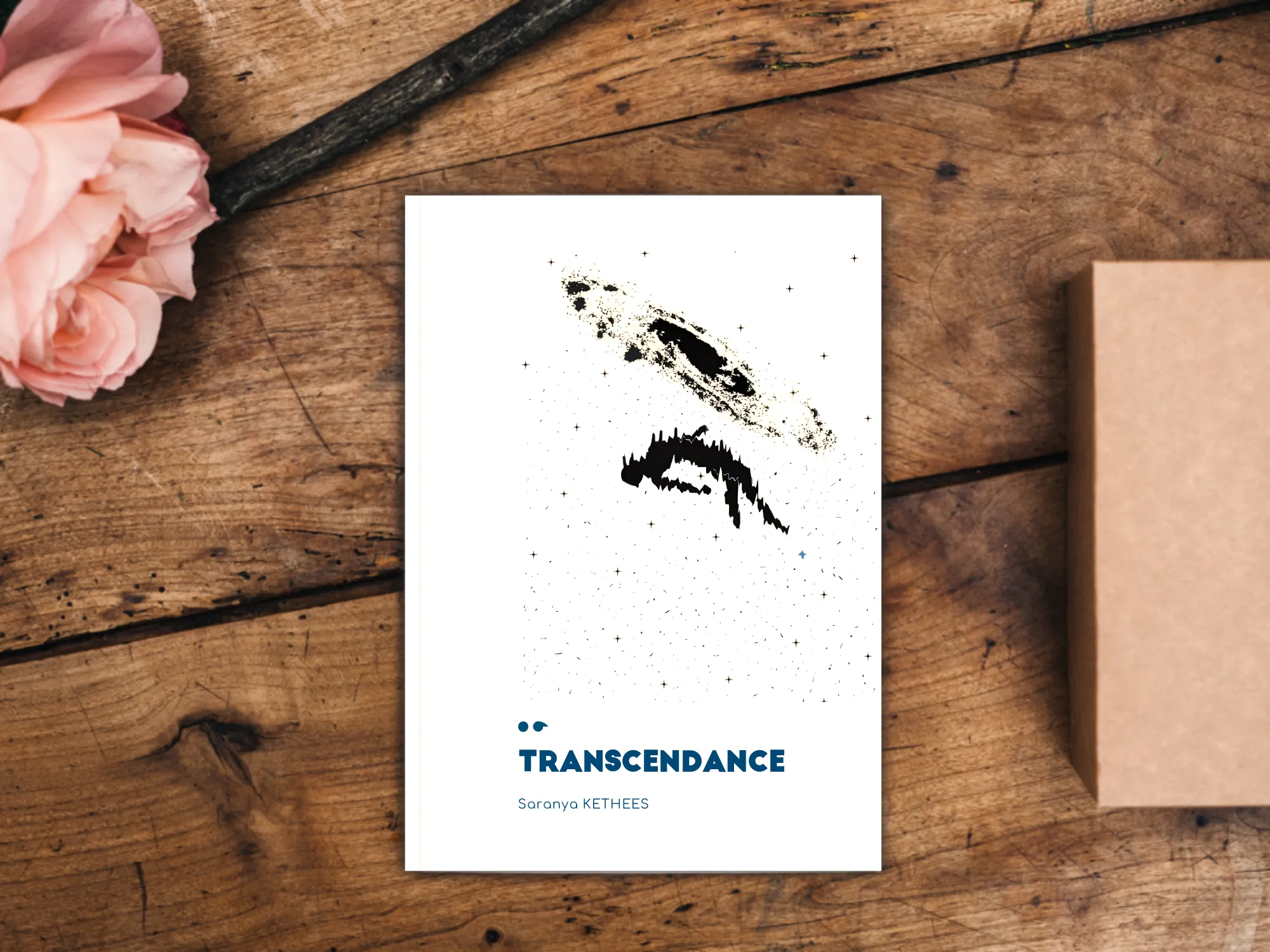 Cover of the book