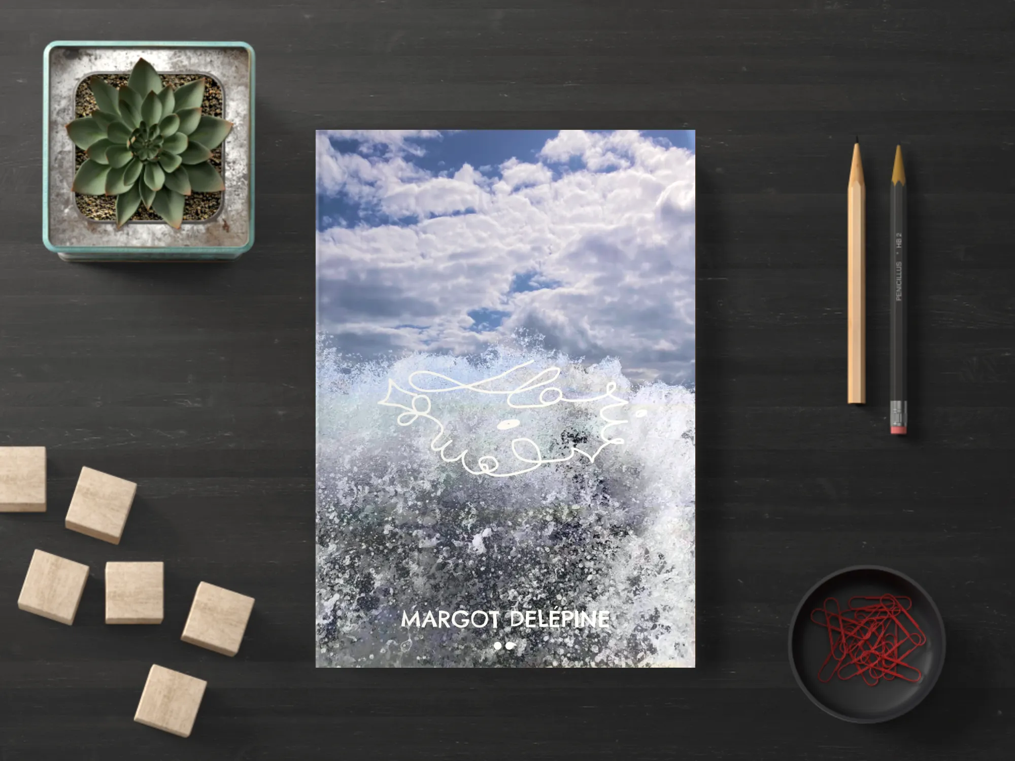 Cover of the book