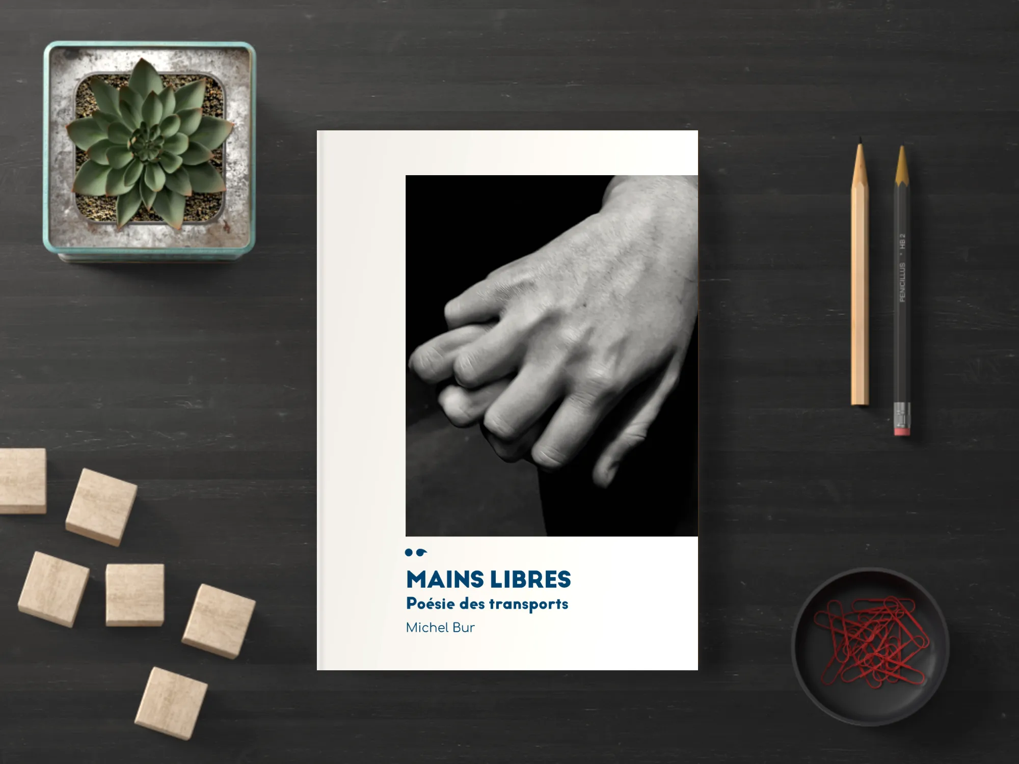 Cover of the book
