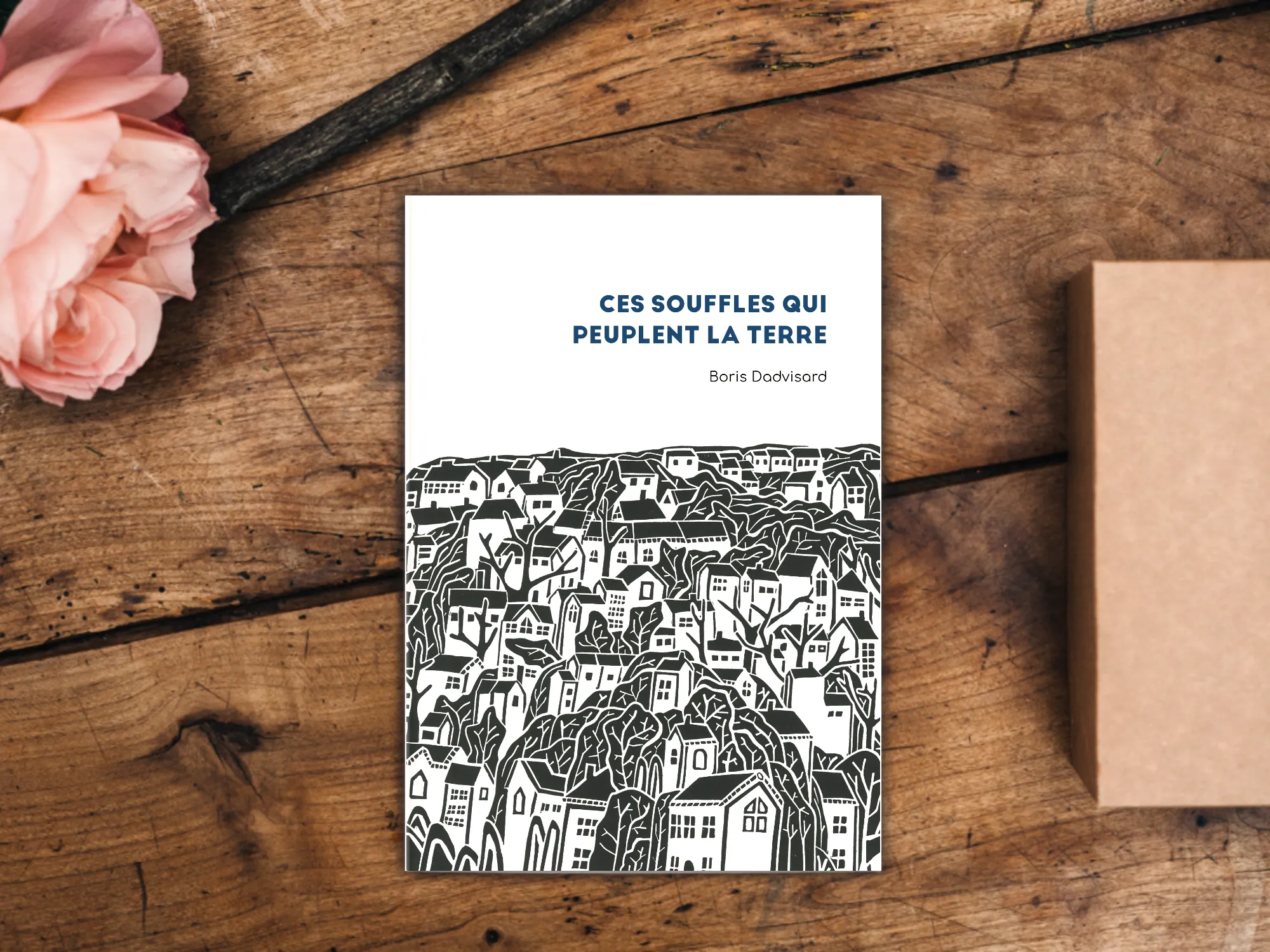 Cover of the book