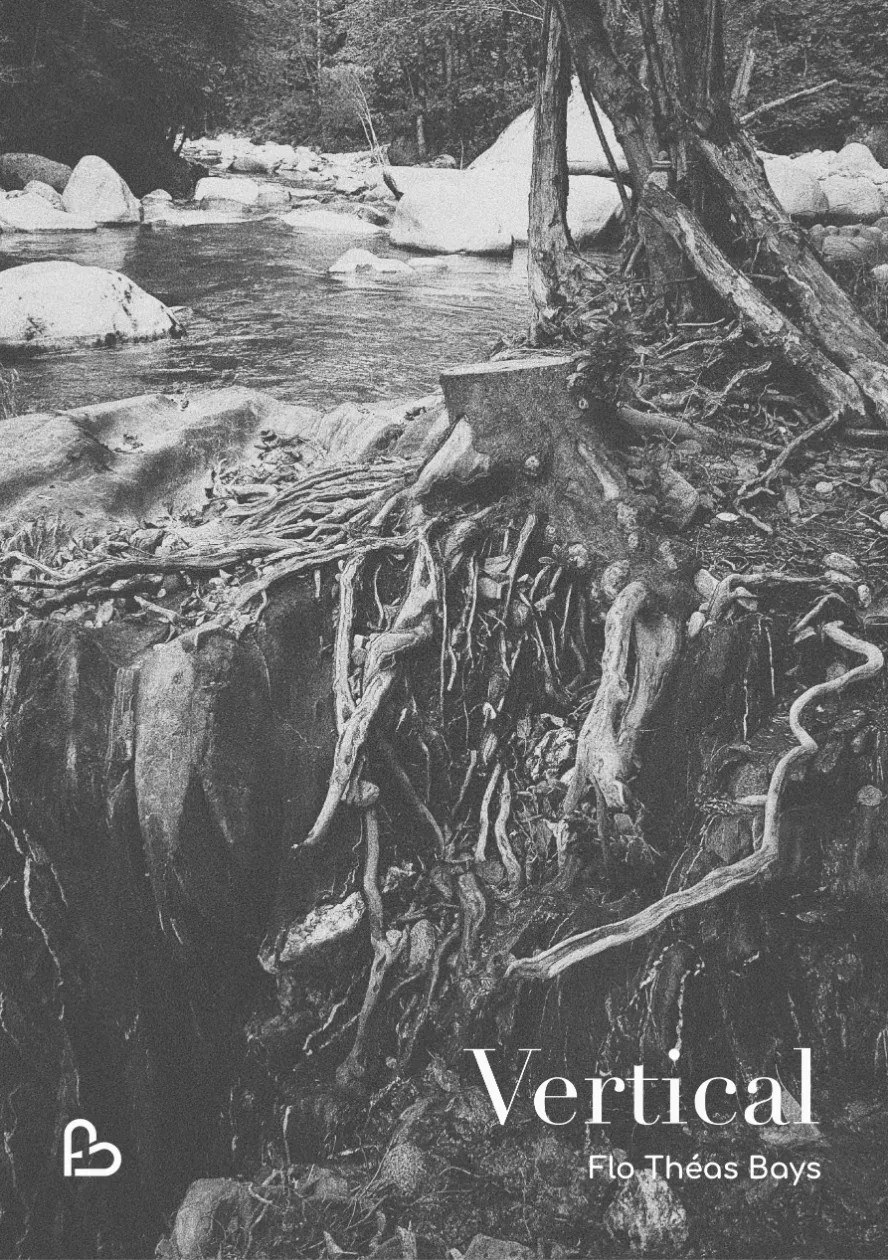 Cover of Vertical