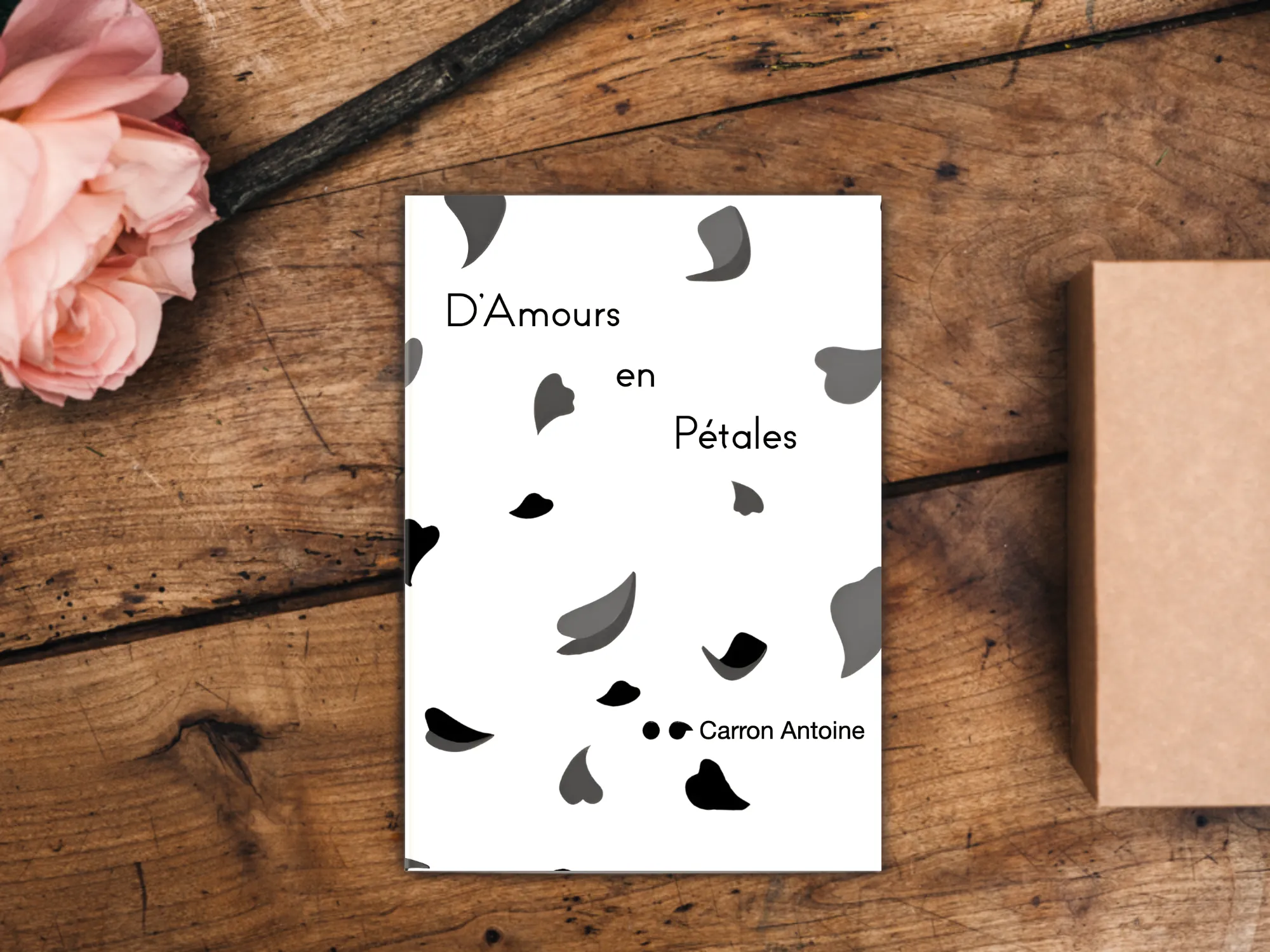 Cover of the book