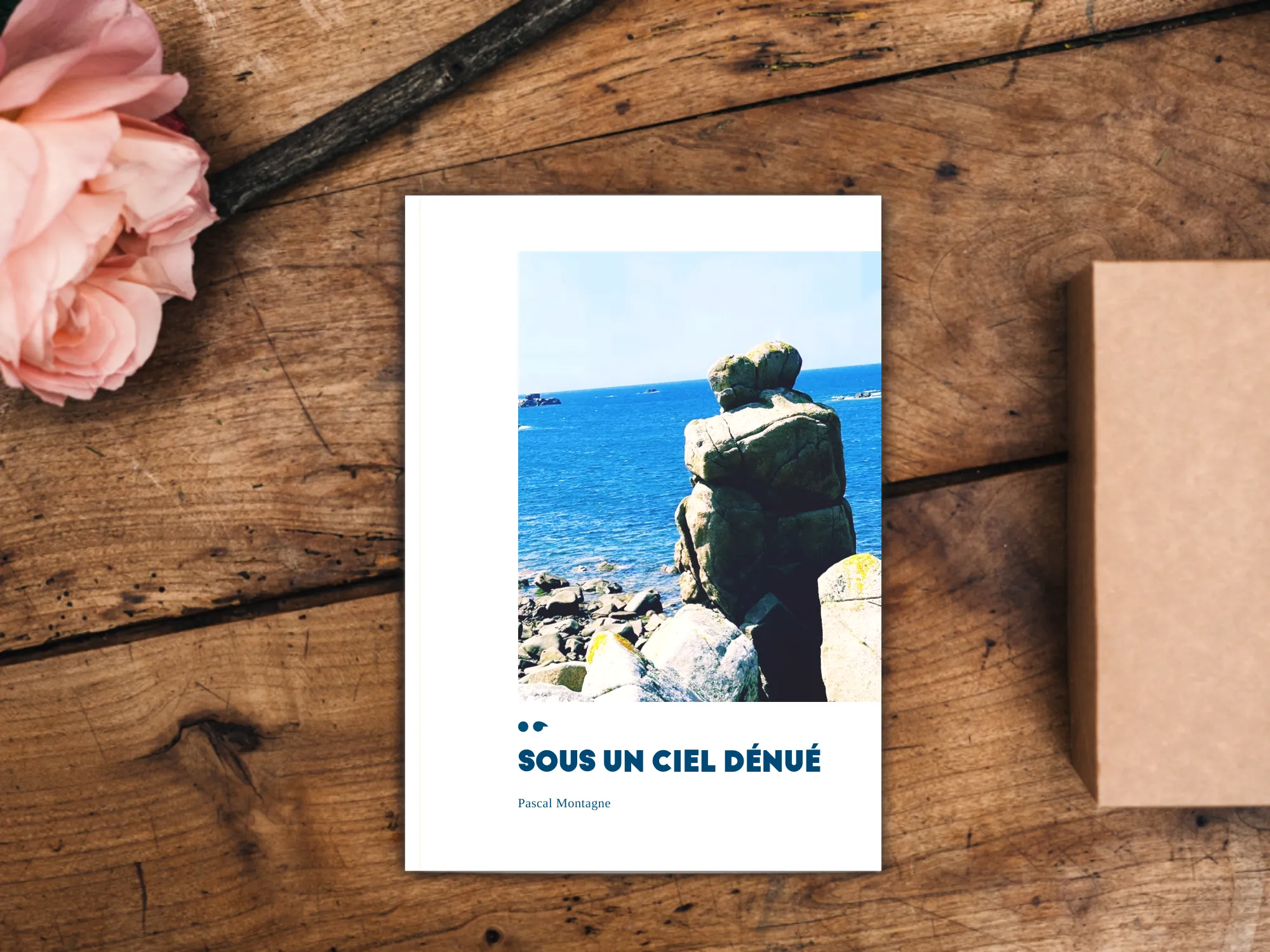 Cover of the book