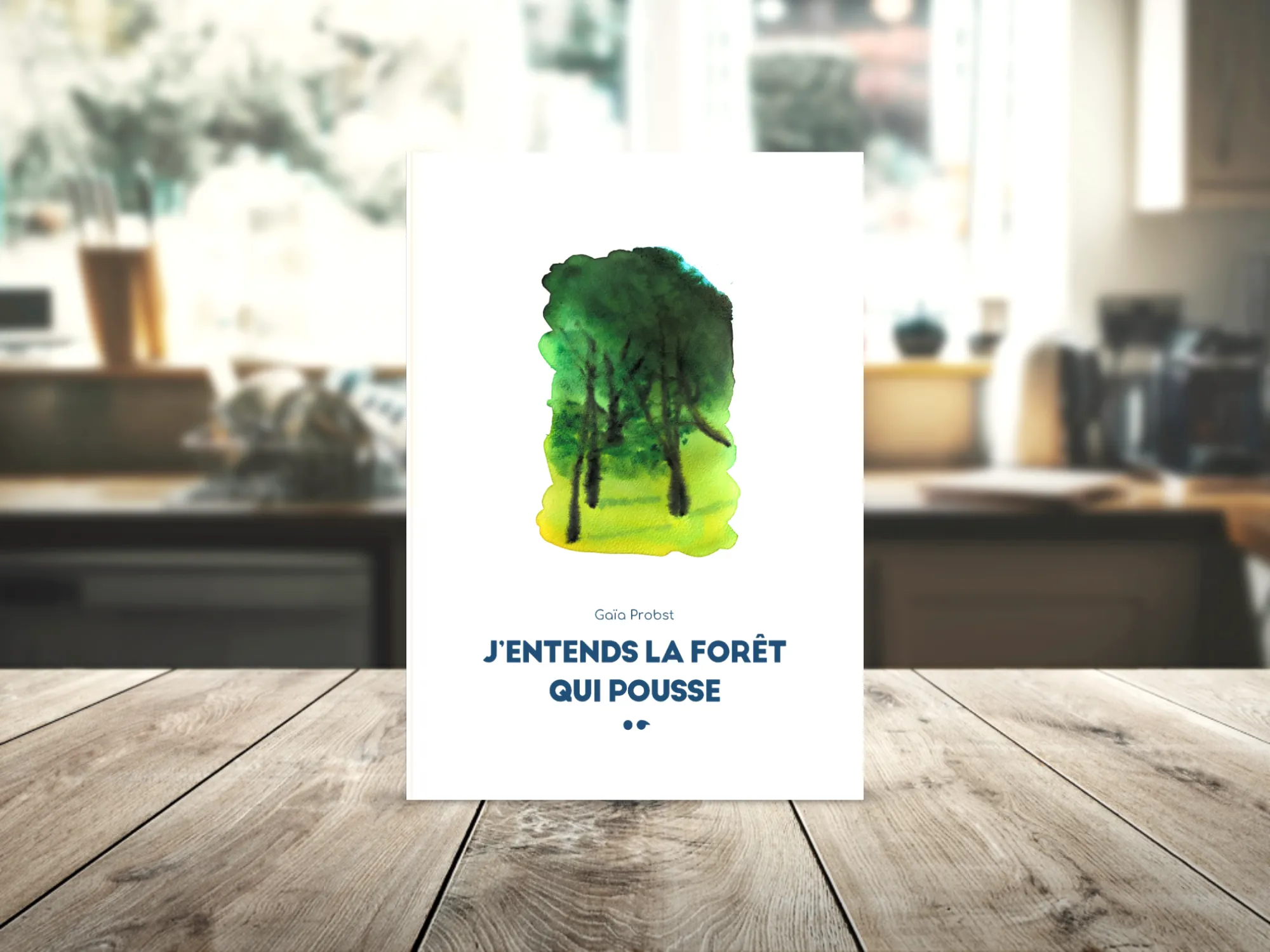 Cover of the book