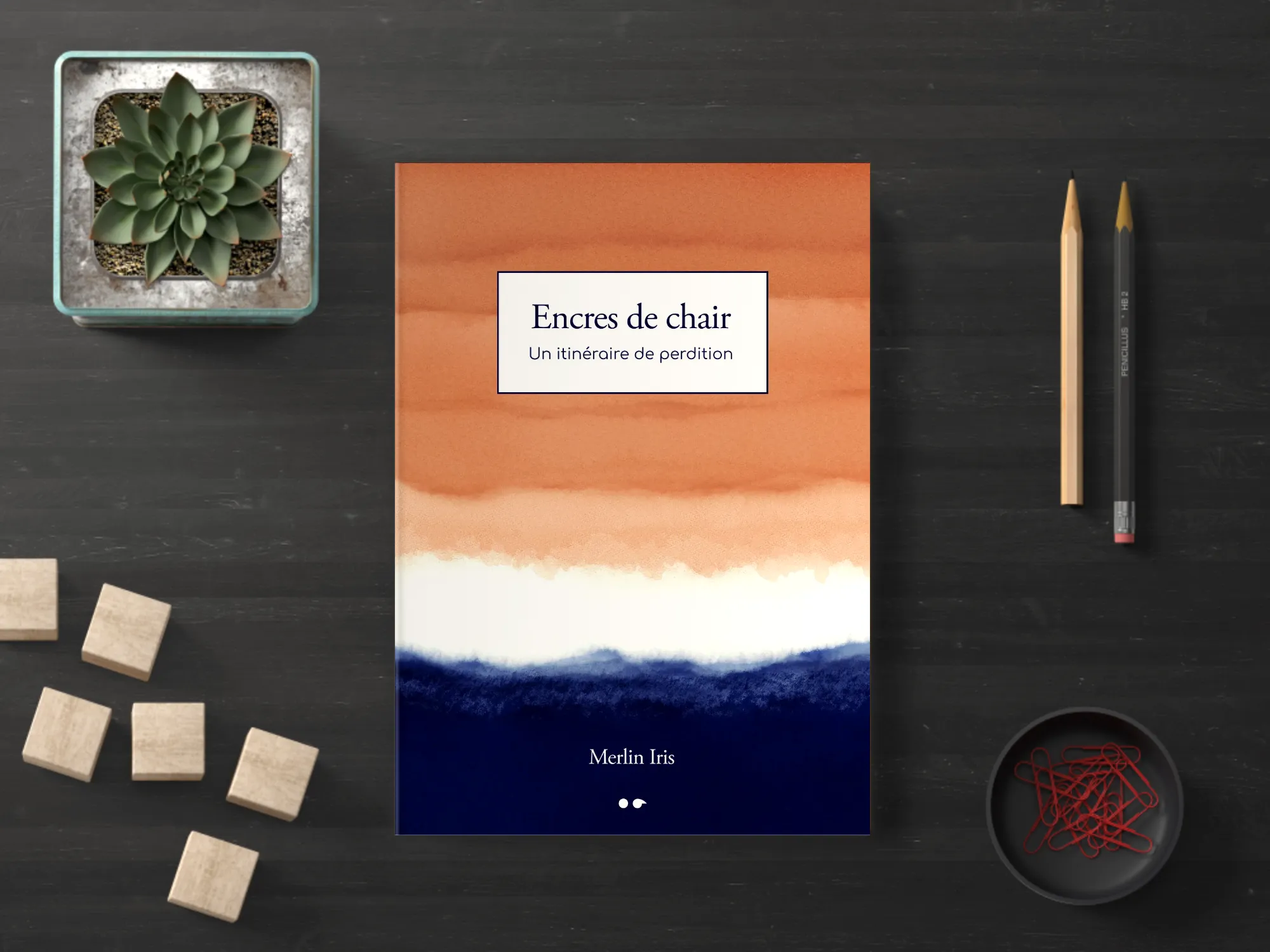 Cover of the book
