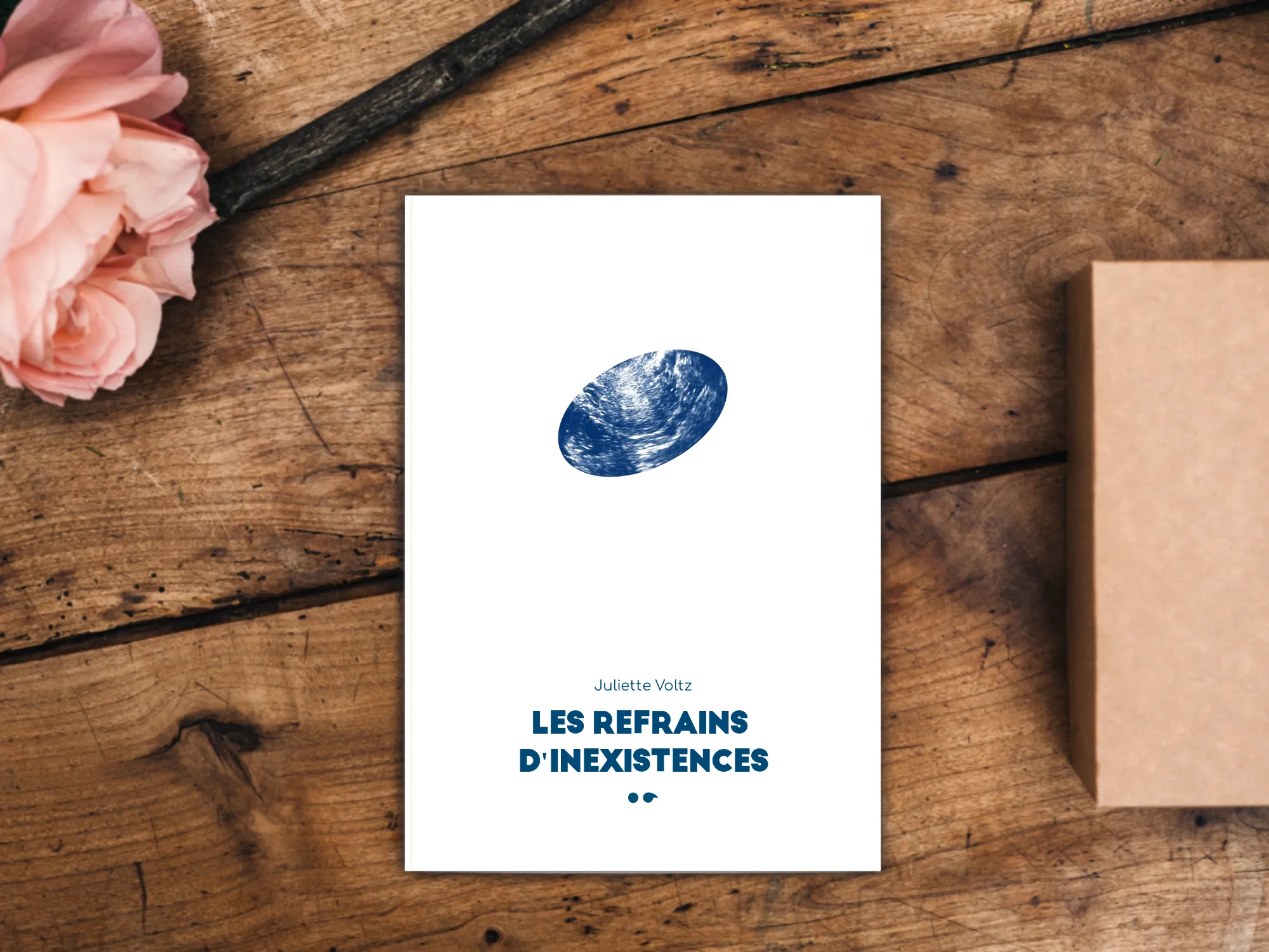 Cover of the book