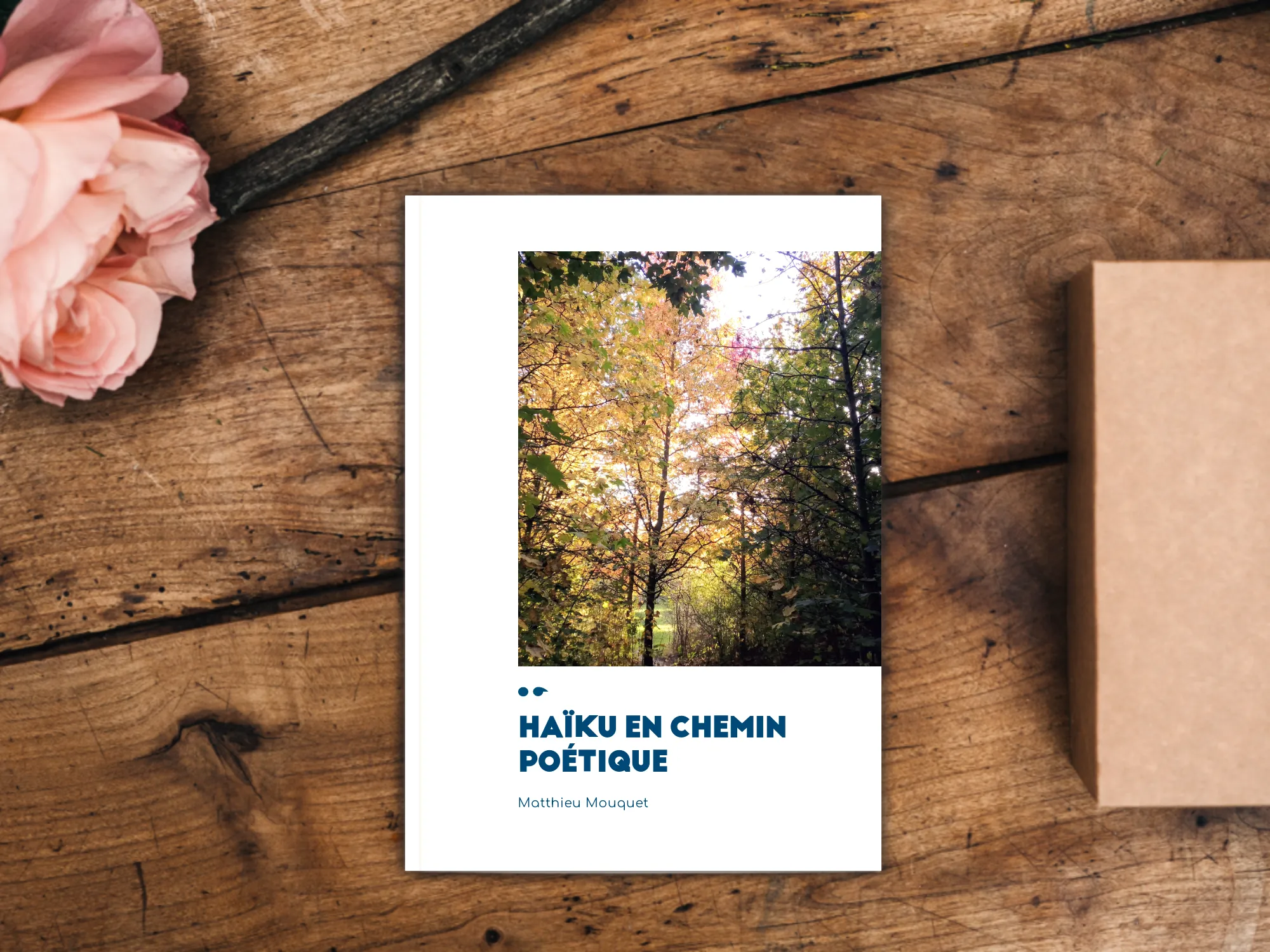 Cover of the book