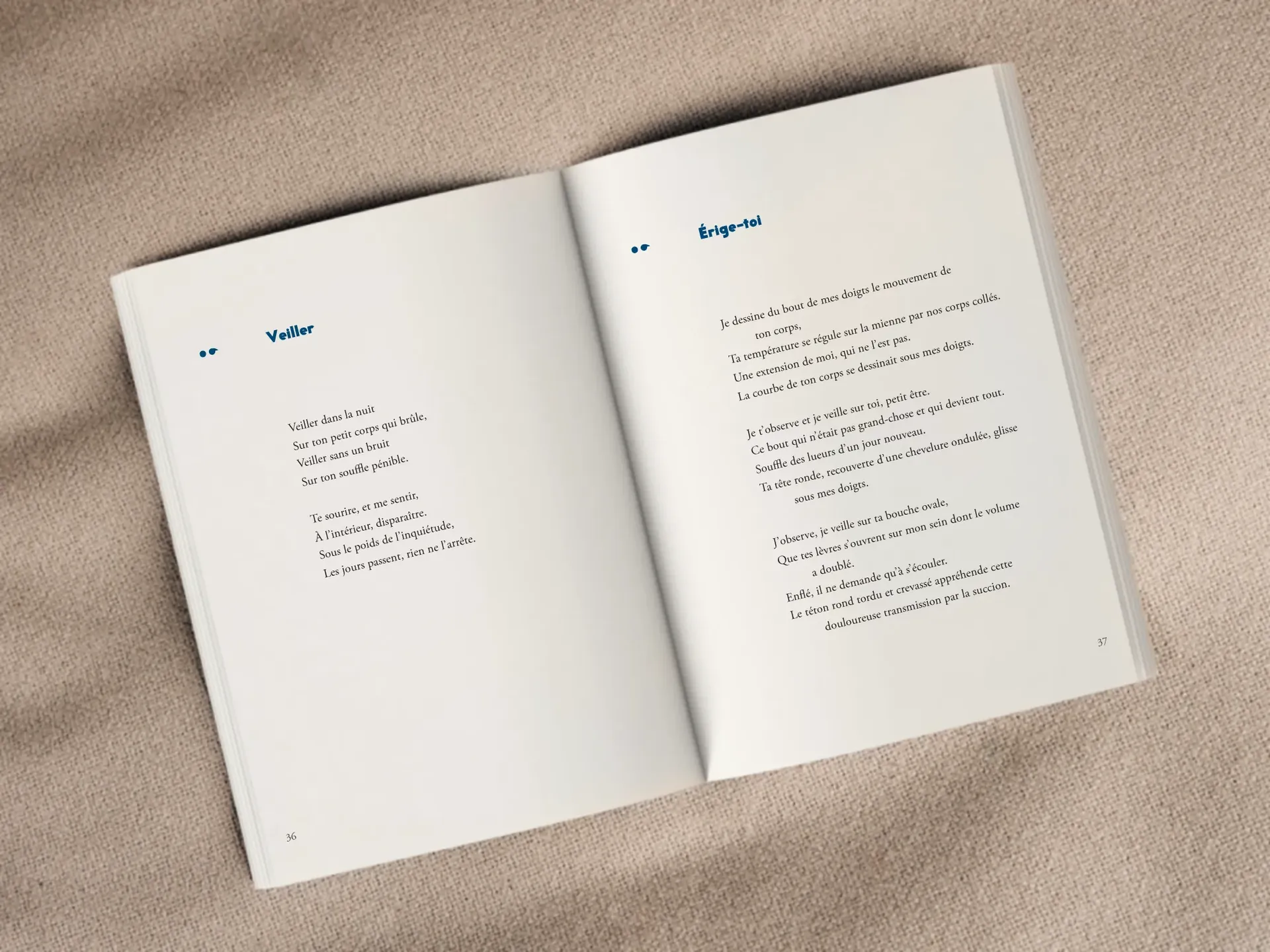 Cover of the book