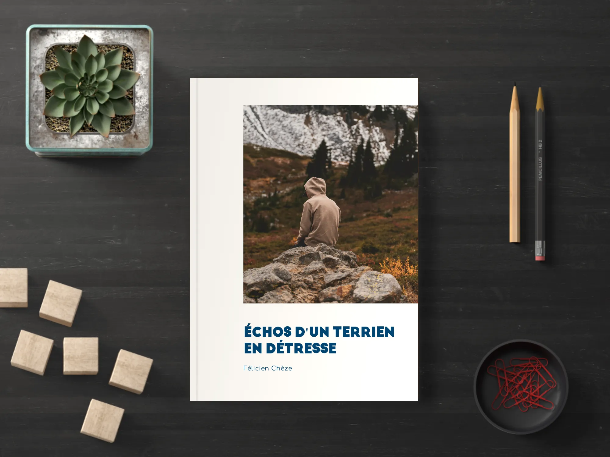 Cover of the book