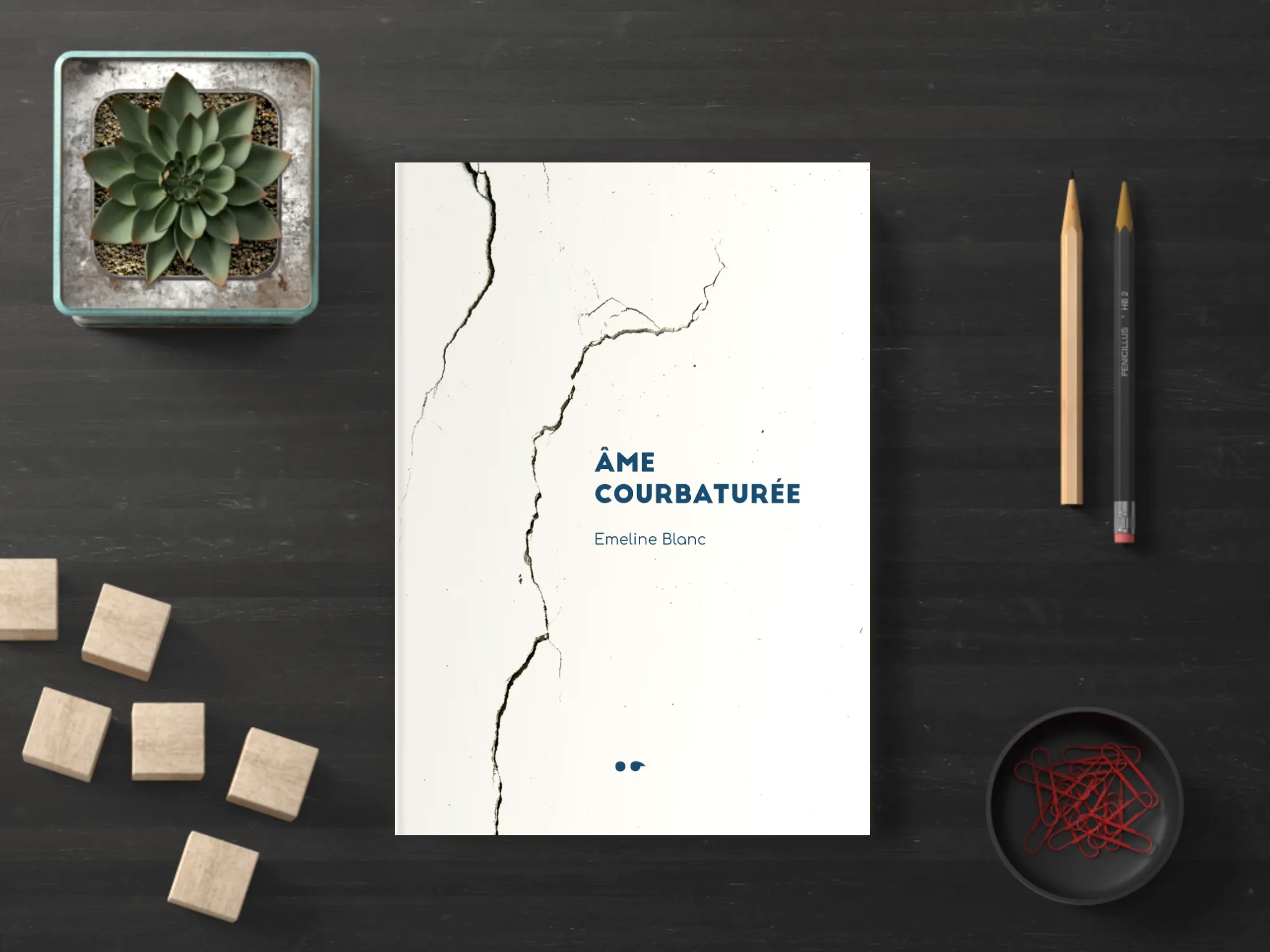 Cover of the book
