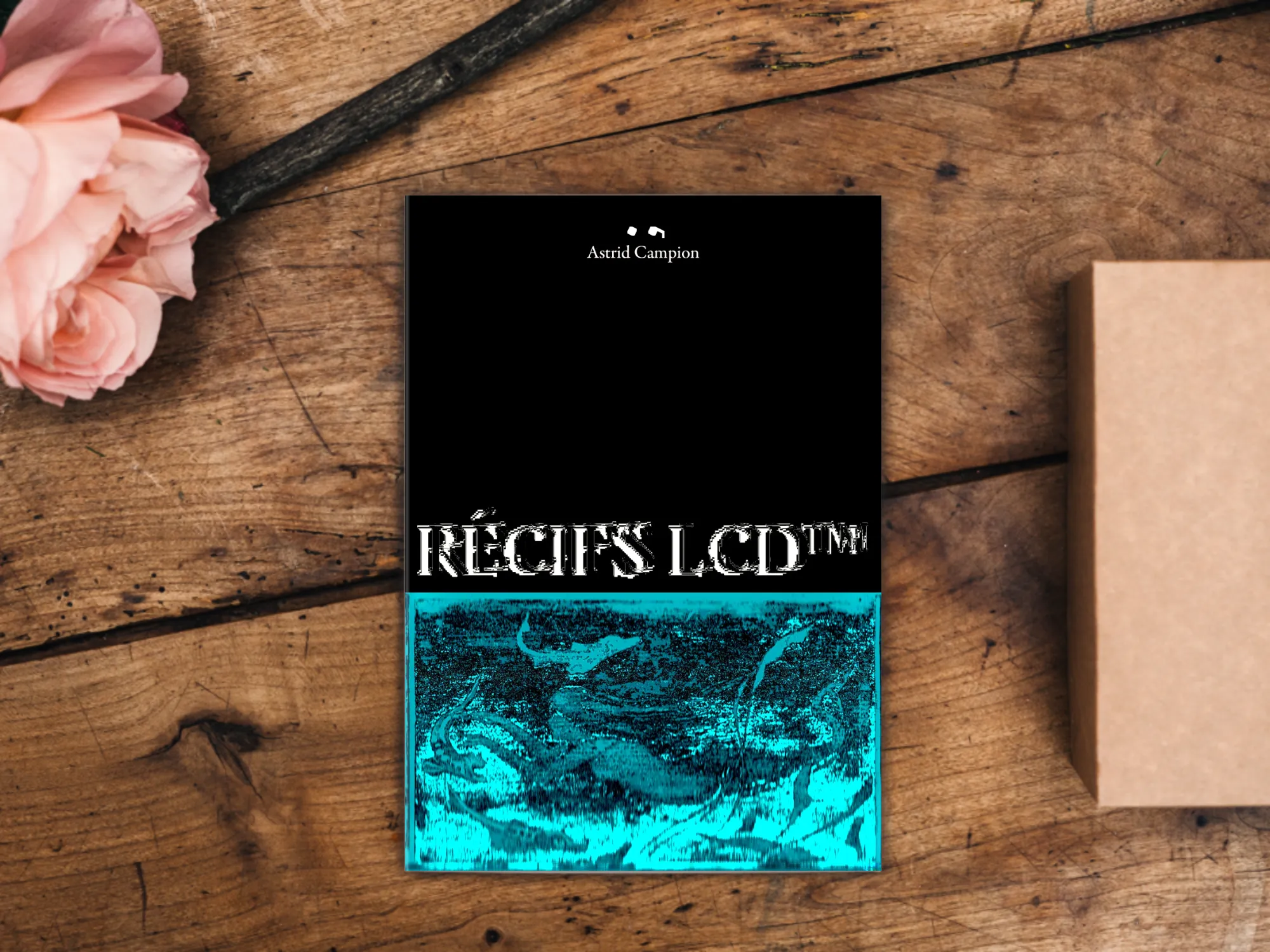 Cover of the book