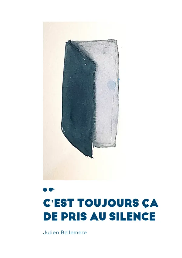 Cover of c'est toujours ça de pris au silence