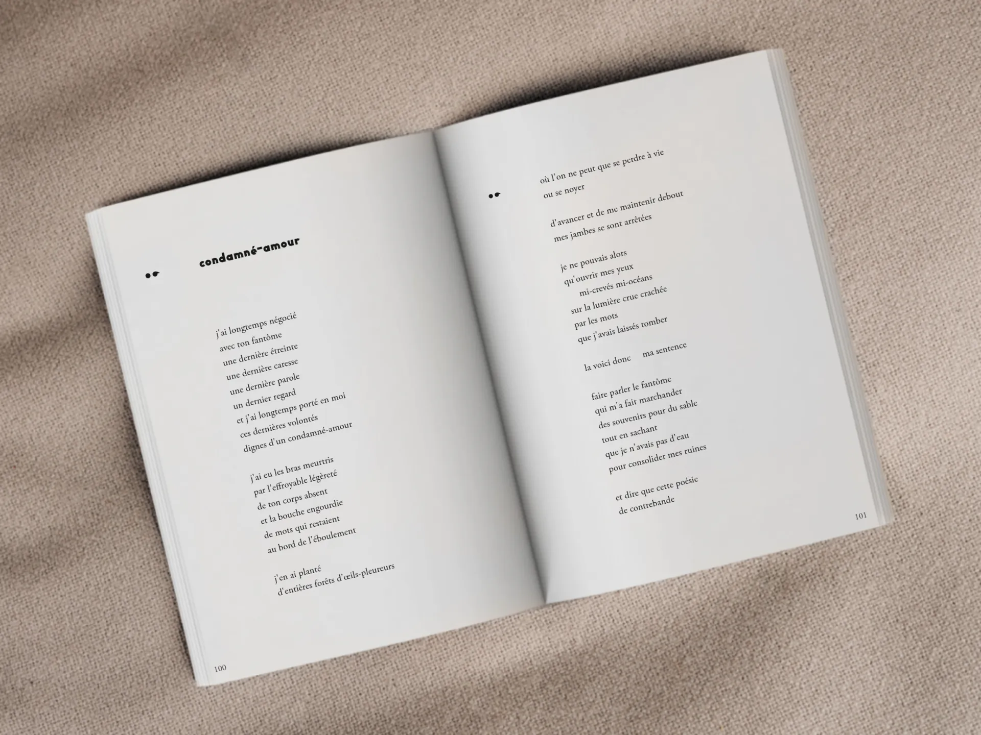 Cover of the book