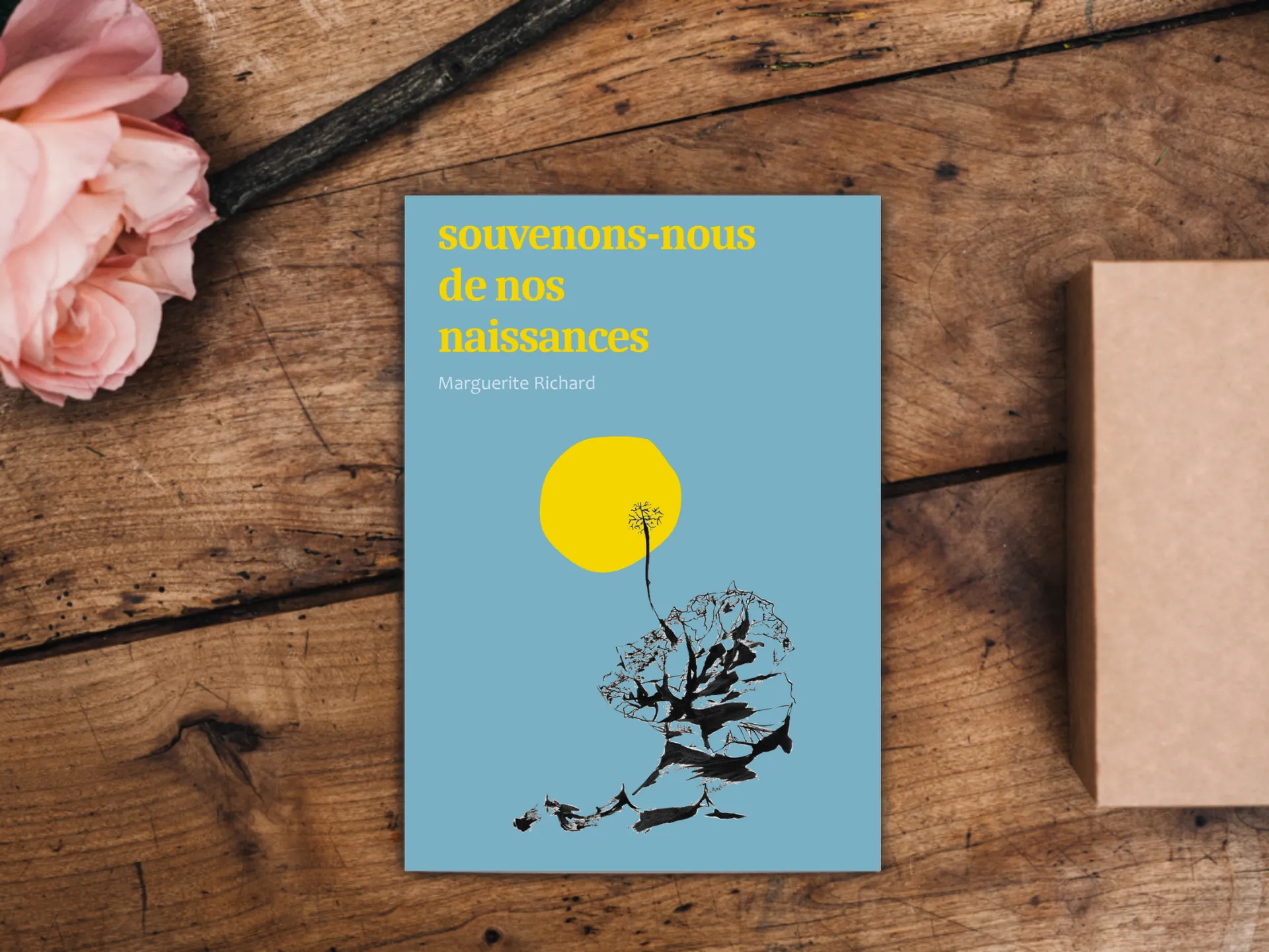 Cover of the book