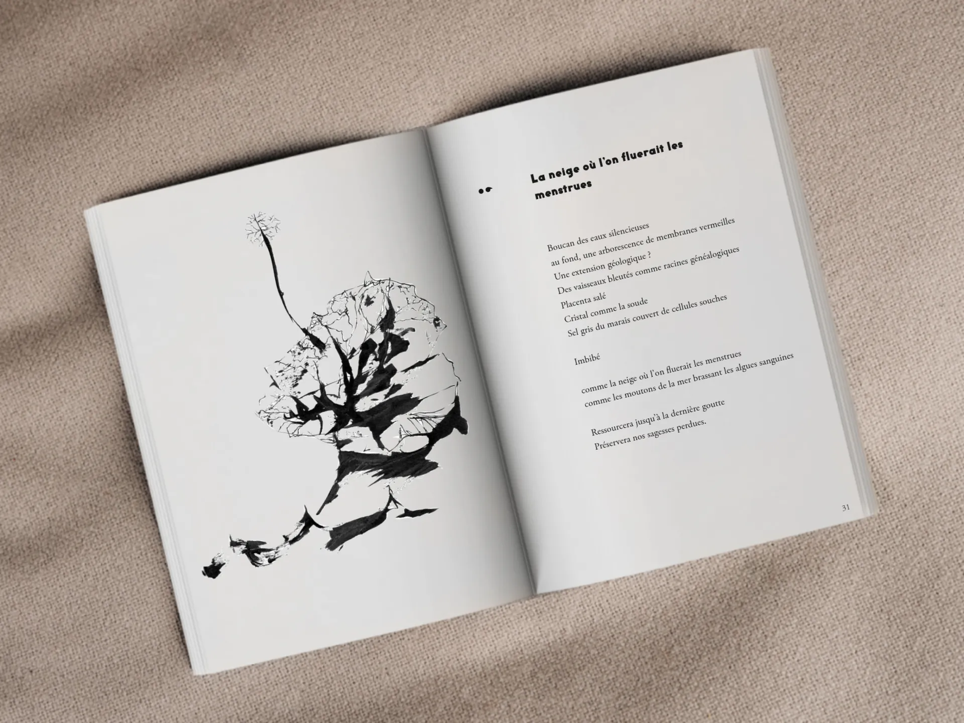 Cover of the book