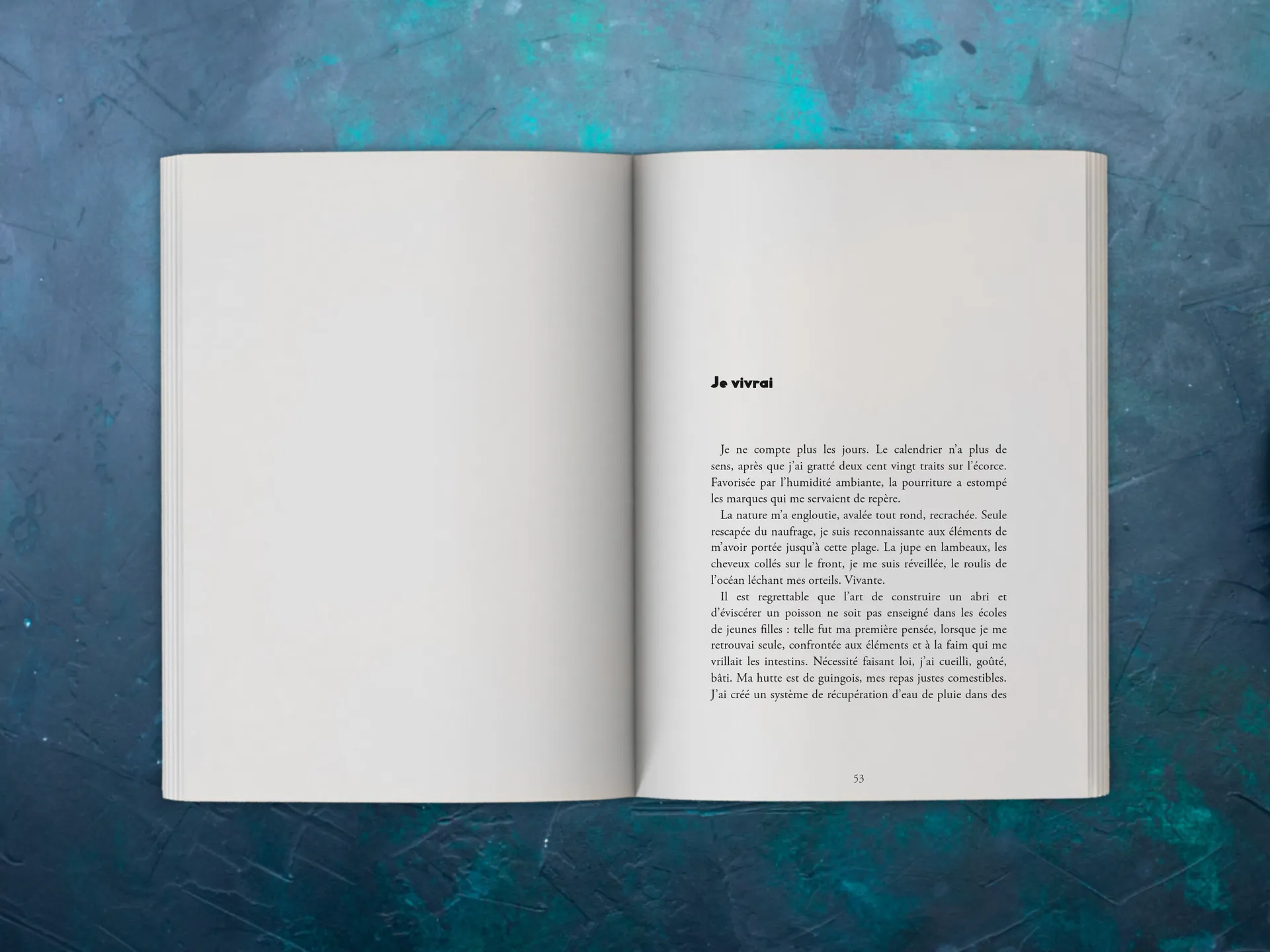 Cover of the book