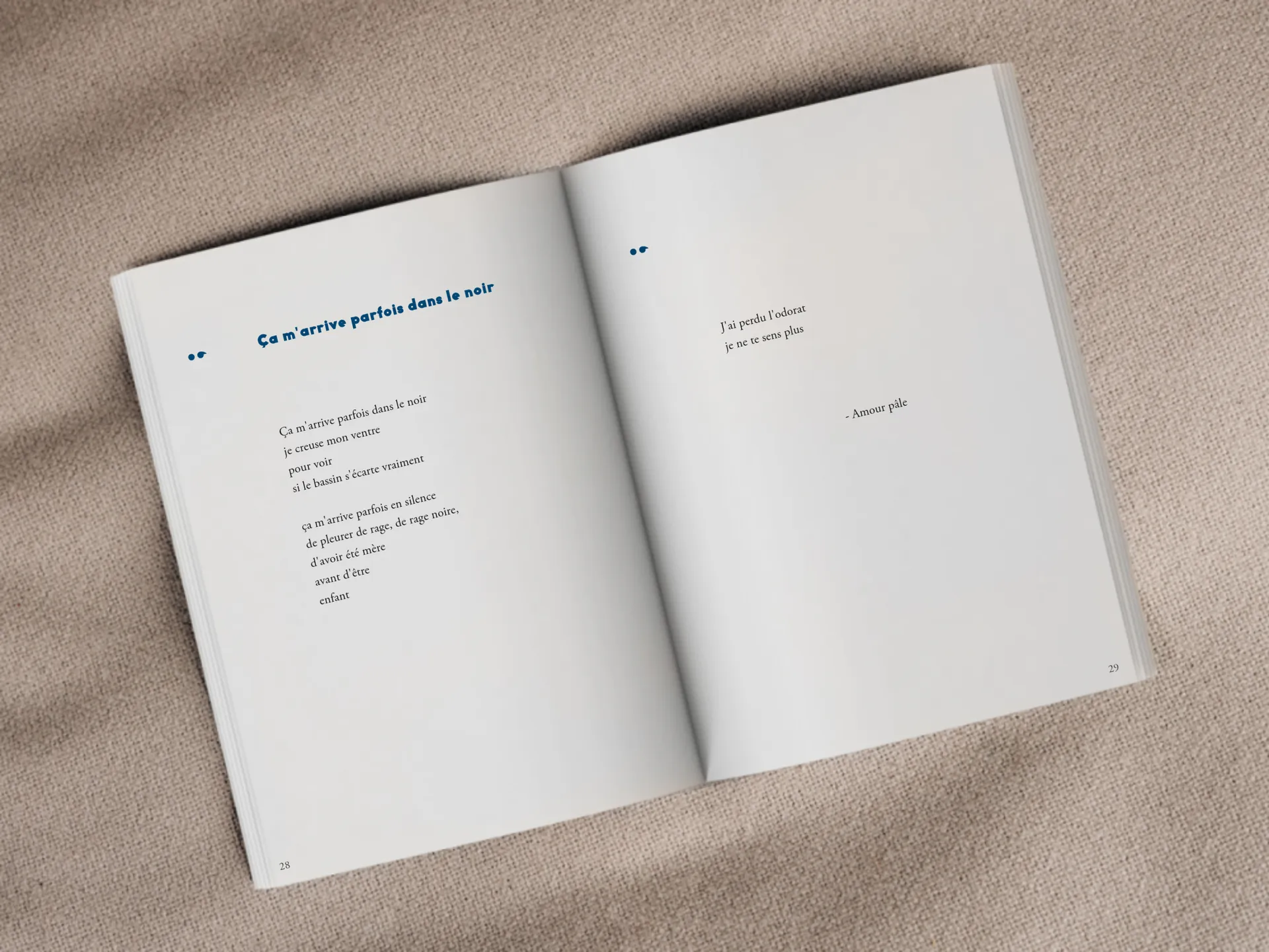 Cover of the book