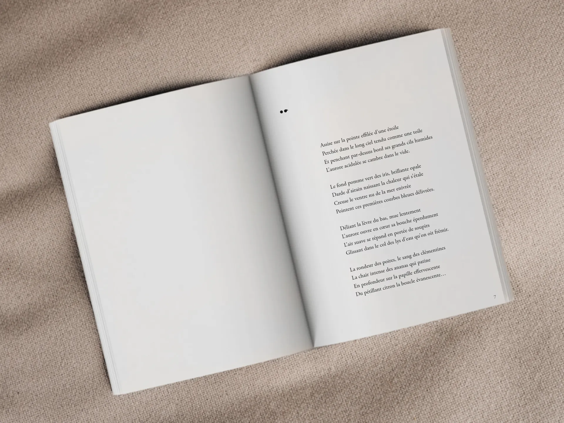 Cover of the book