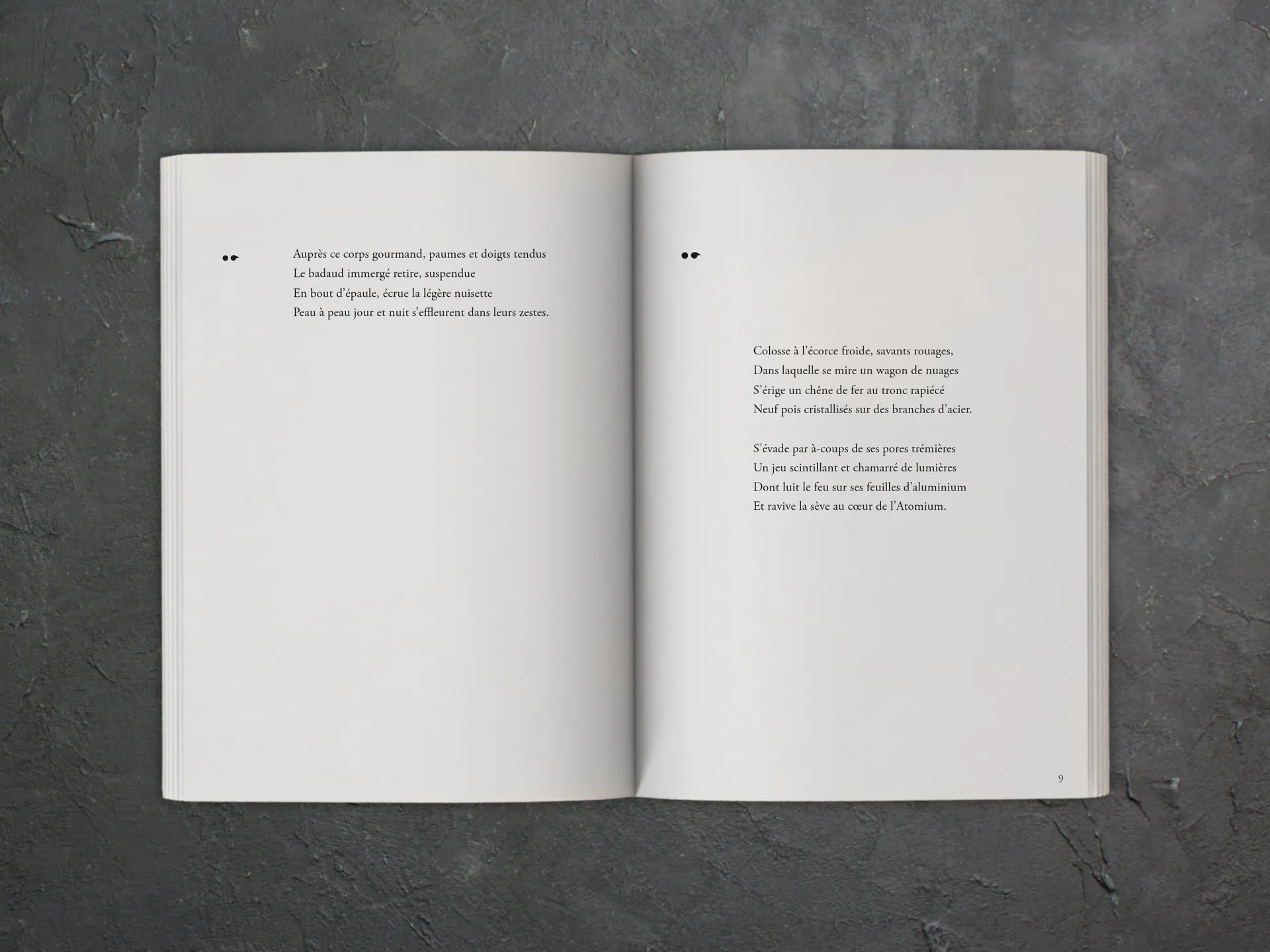 Cover of the book