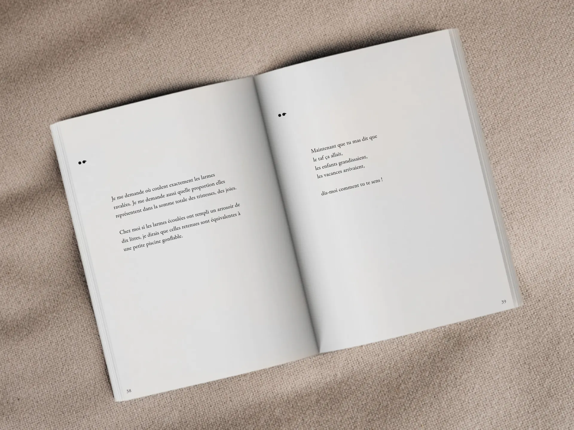 Cover of the book
