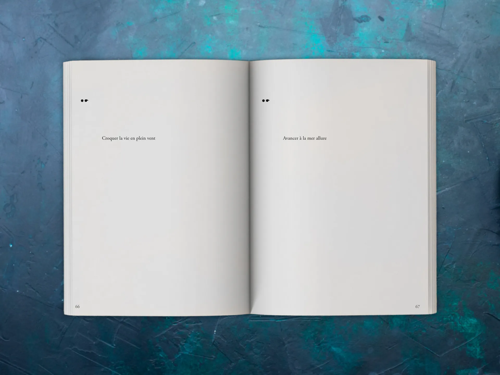 Cover of the book