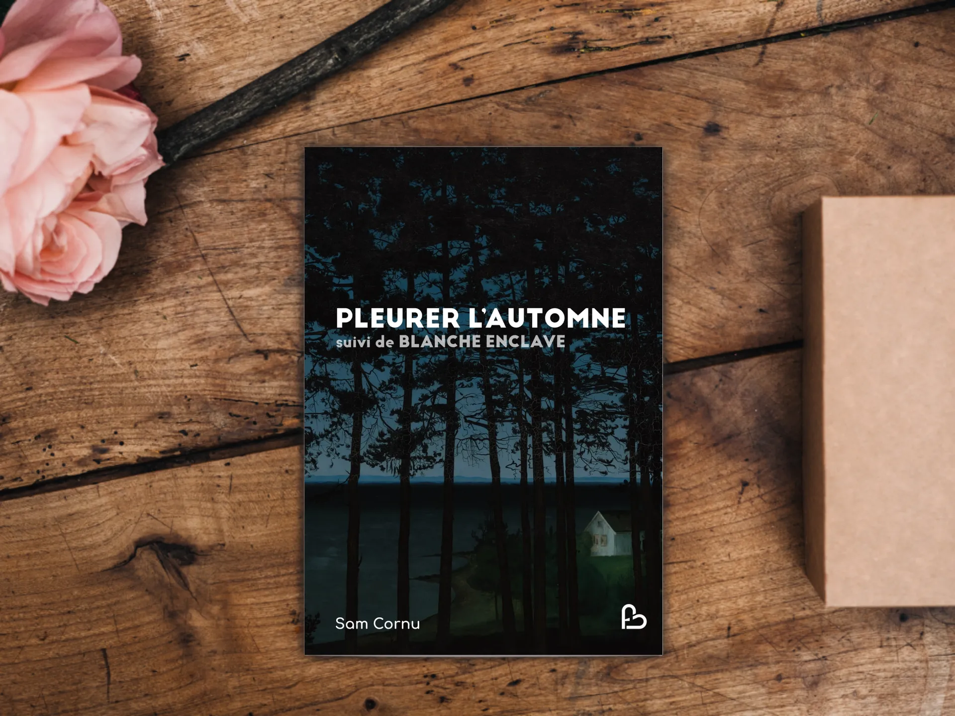 Cover of the book