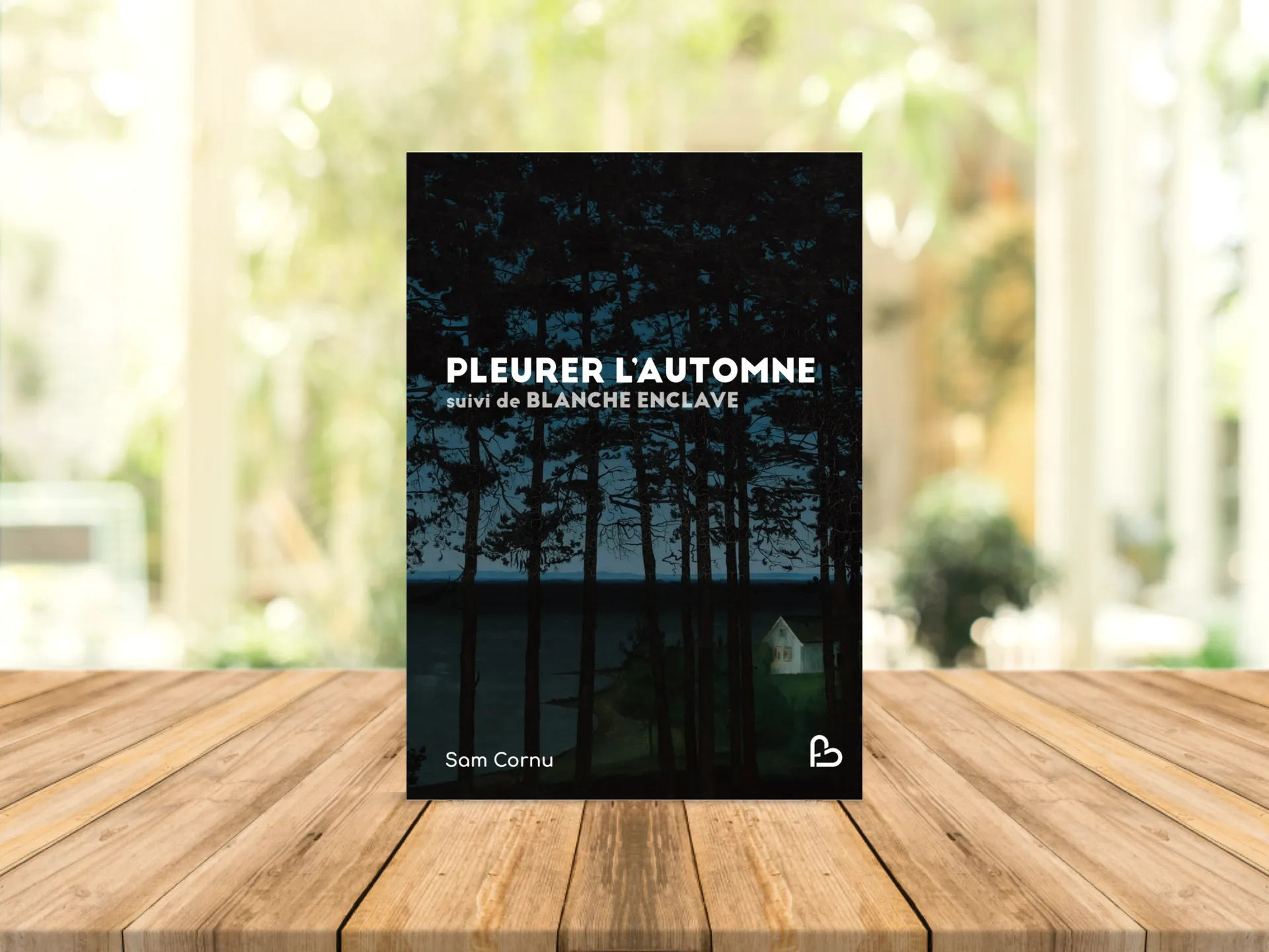 Cover of the book