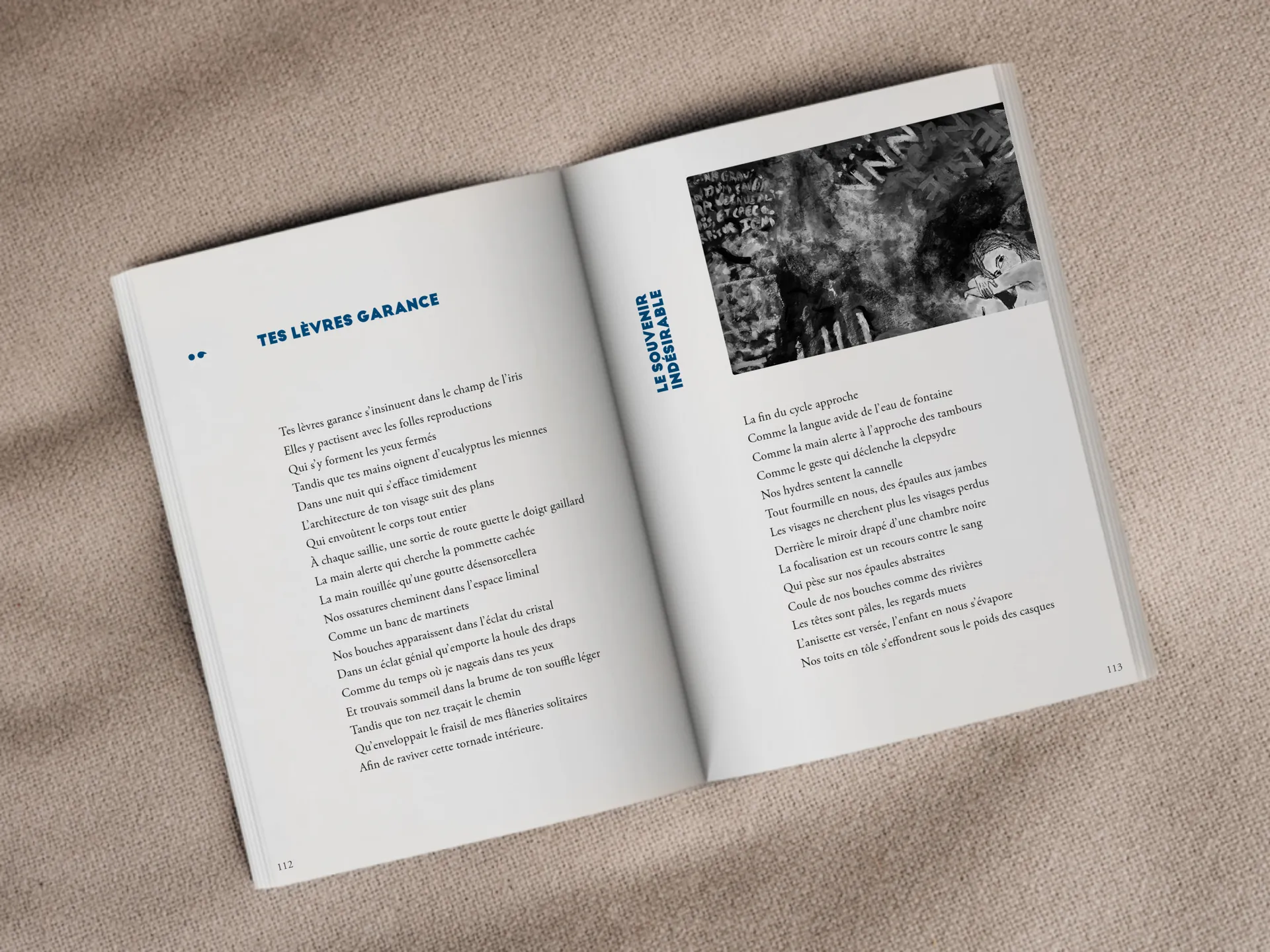 Cover of the book