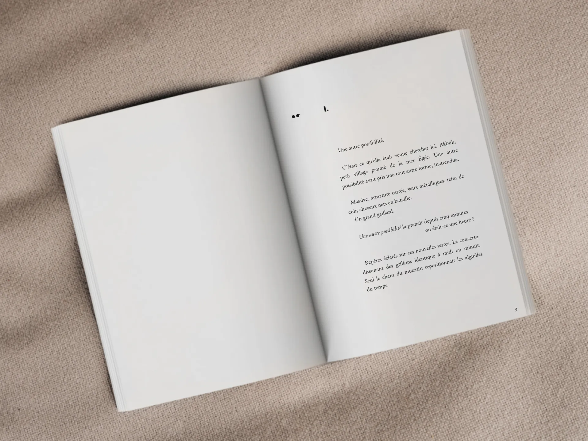 Cover of the book