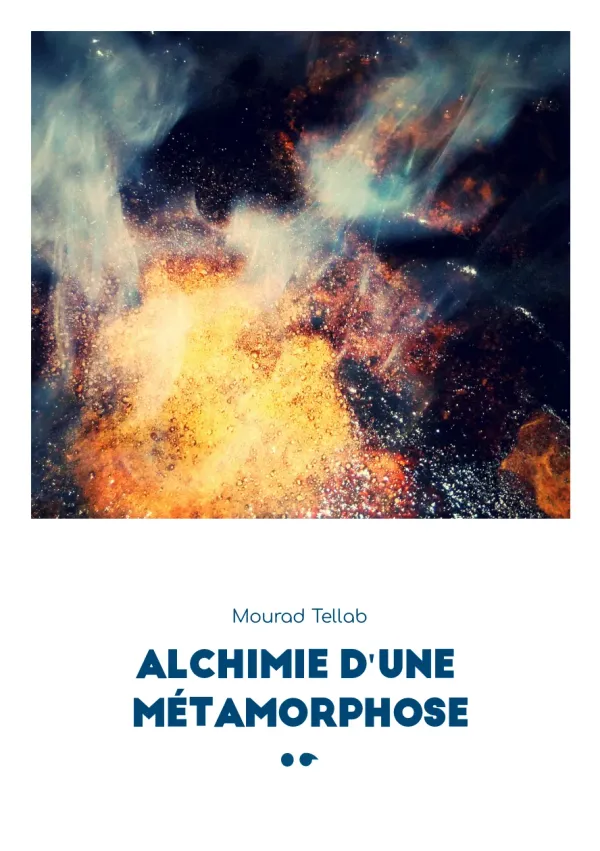 Cover of Alchimie d'une Métamorphose