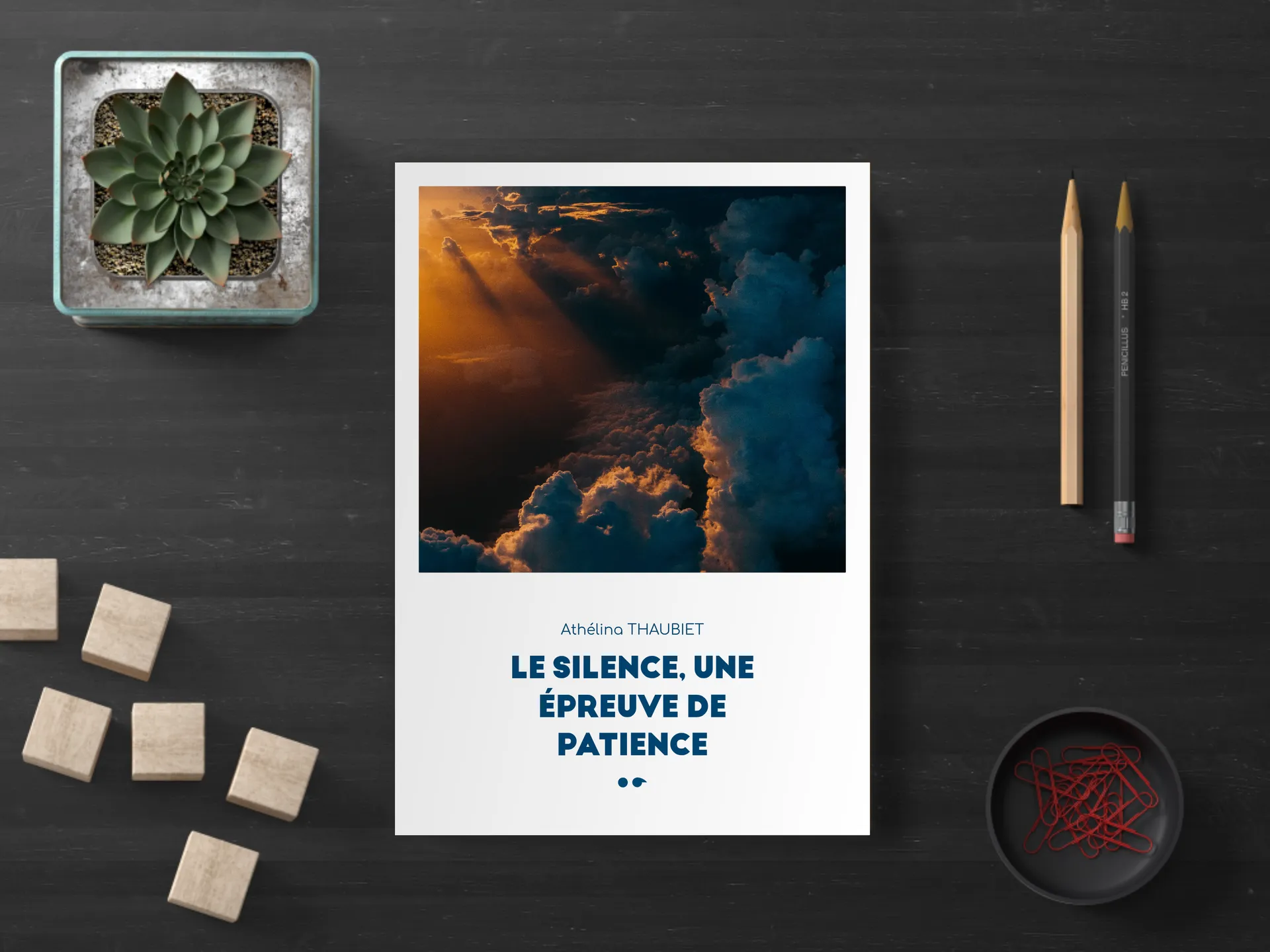 Cover of the book