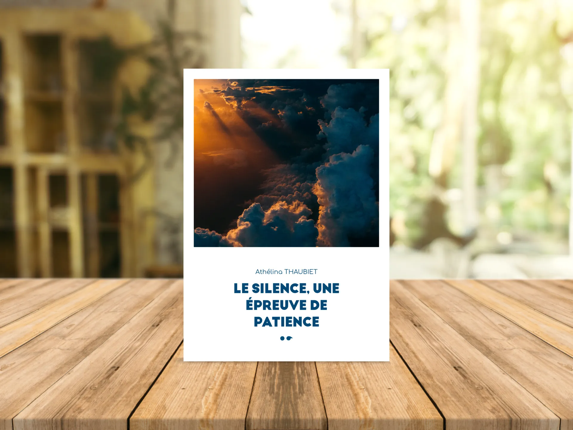 Cover of the book