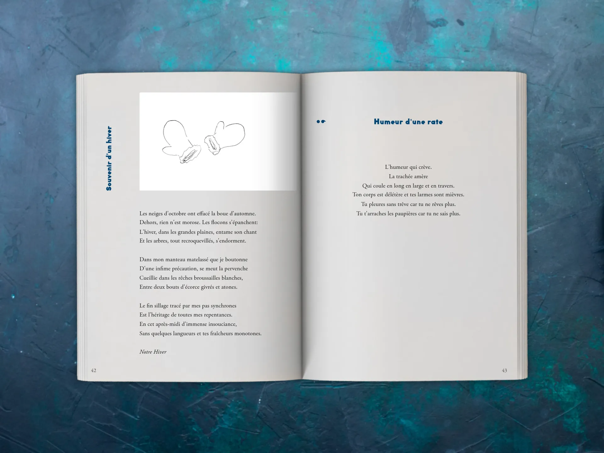 Cover of the book