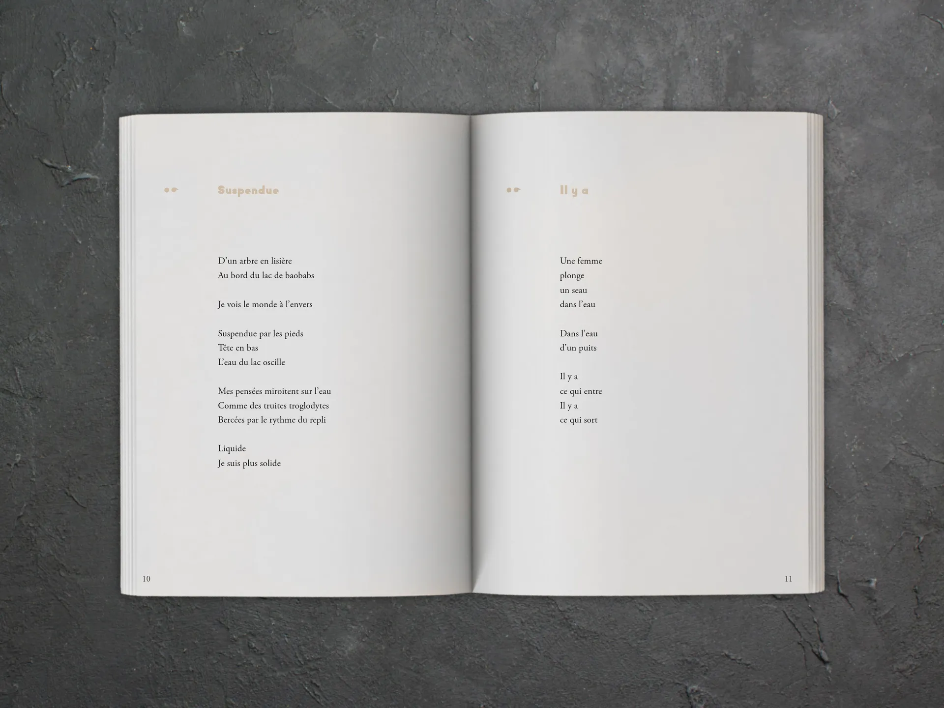 Cover of the book