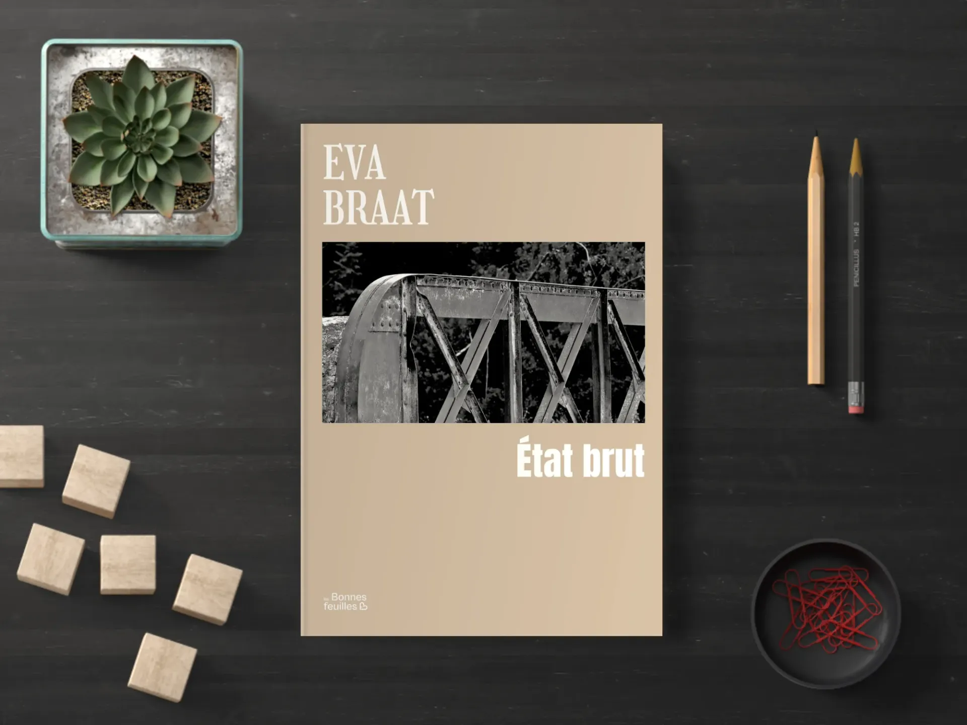 Cover of the book