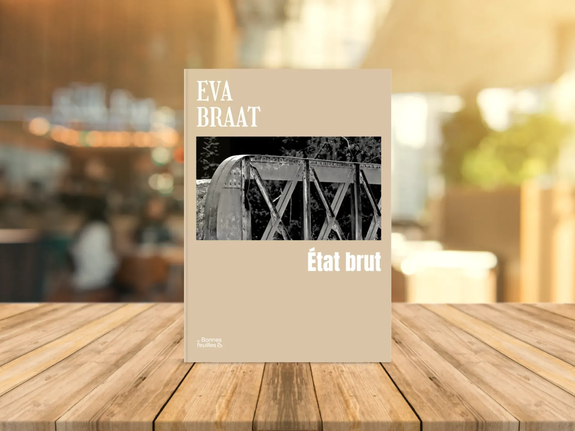 Cover of the book