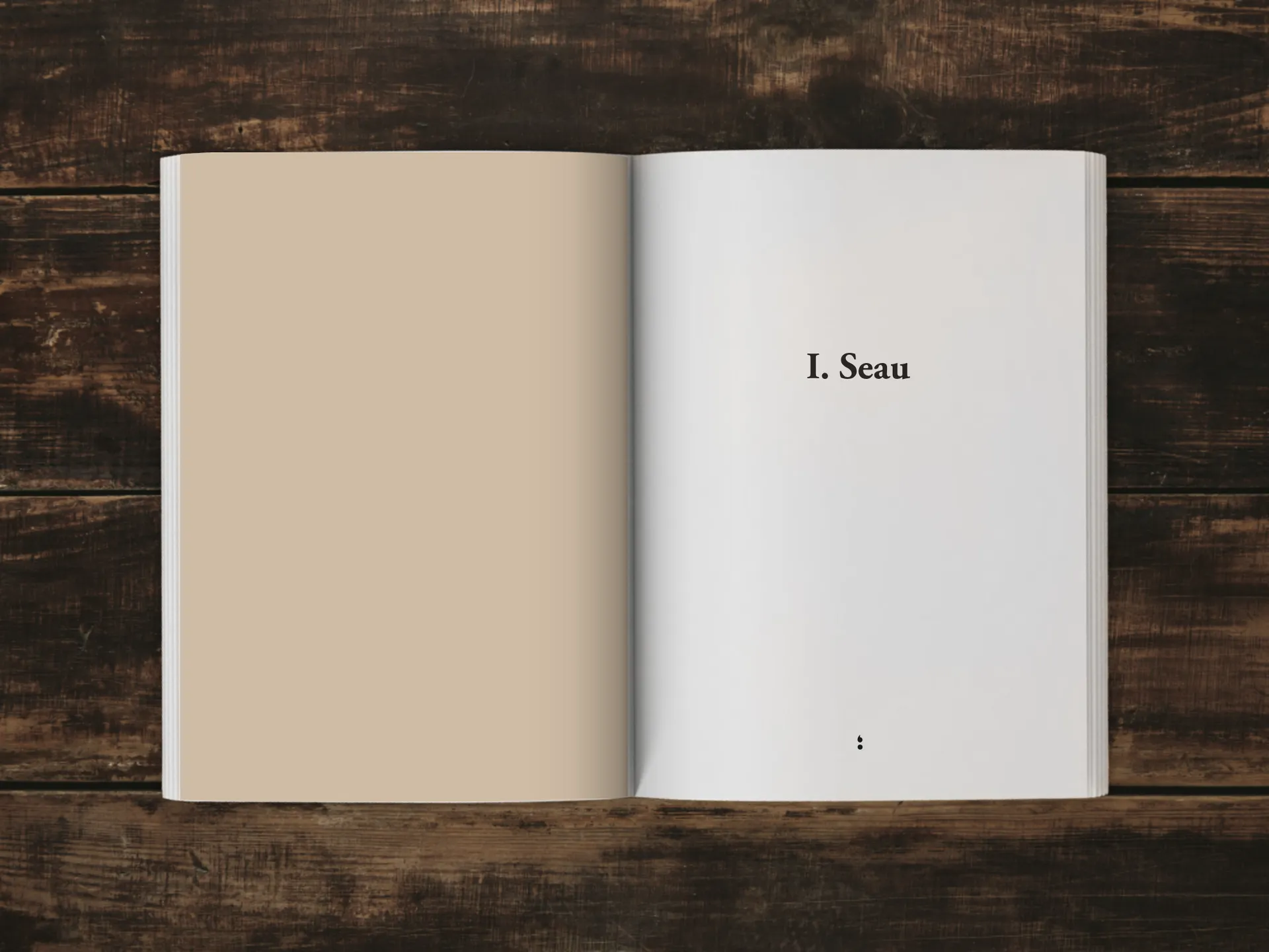 Cover of the book