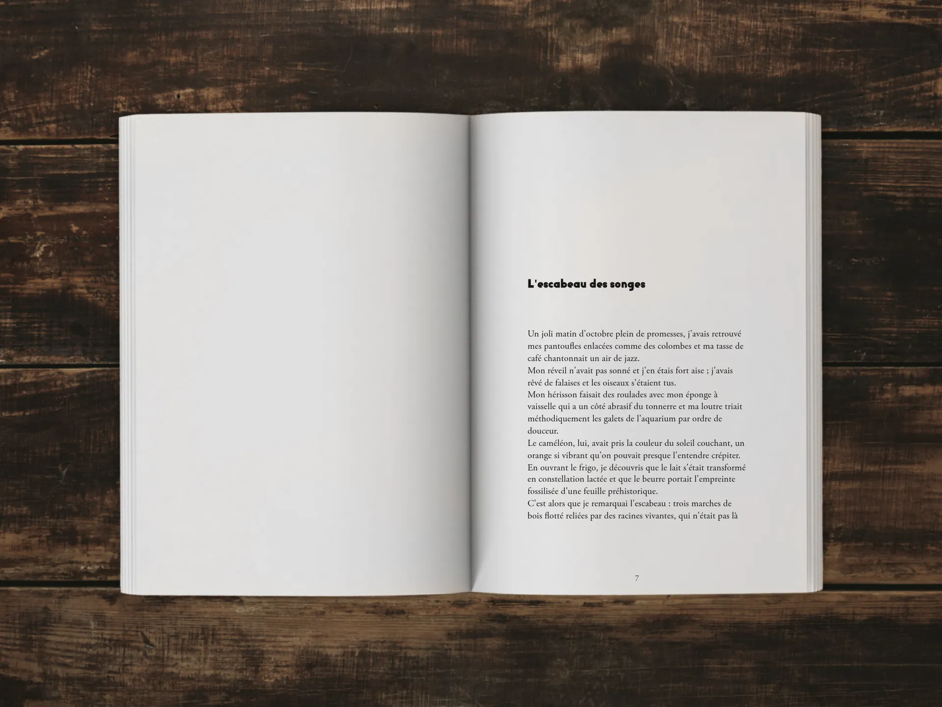 Cover of the book
