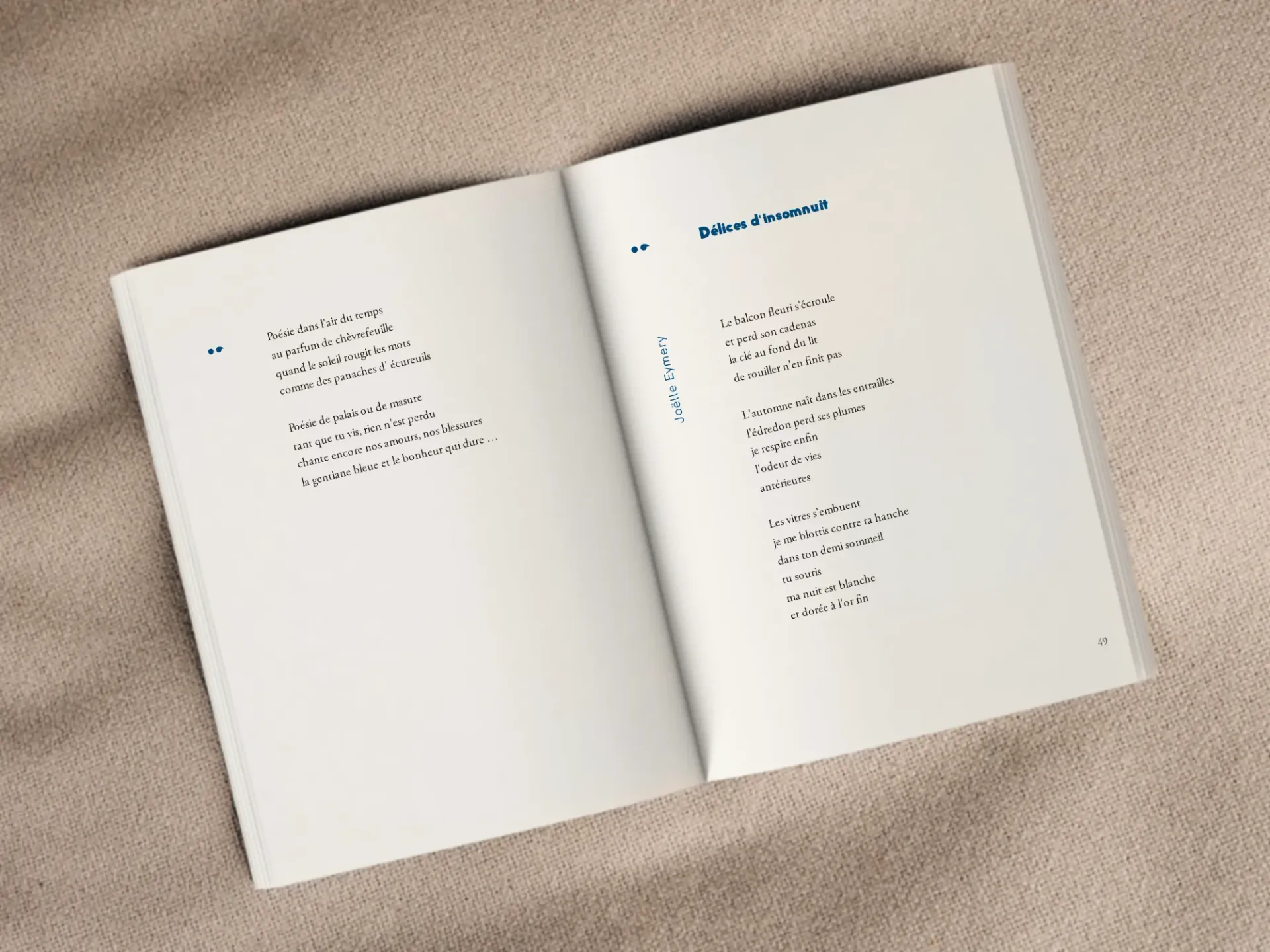 Cover of the book