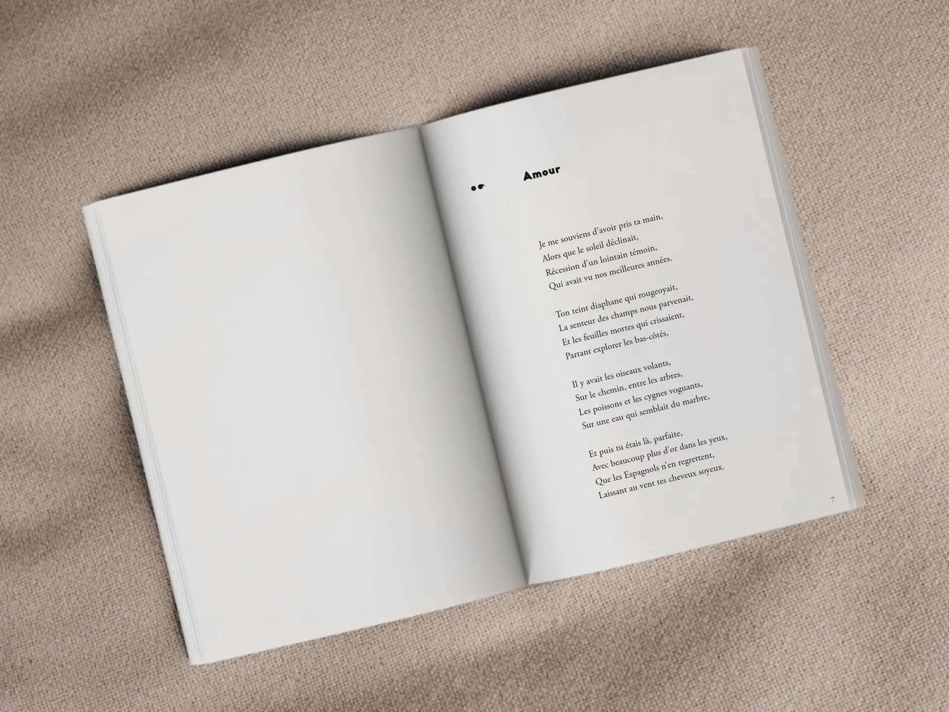 Cover of the book