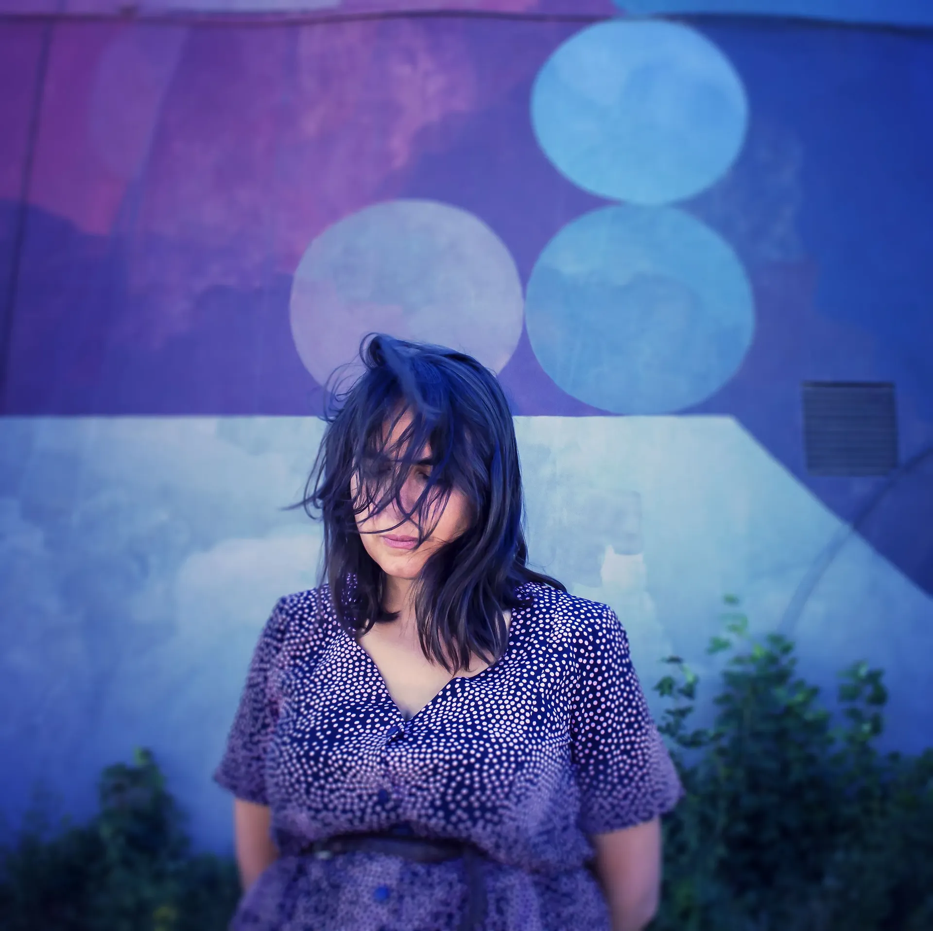 Portrait of the author