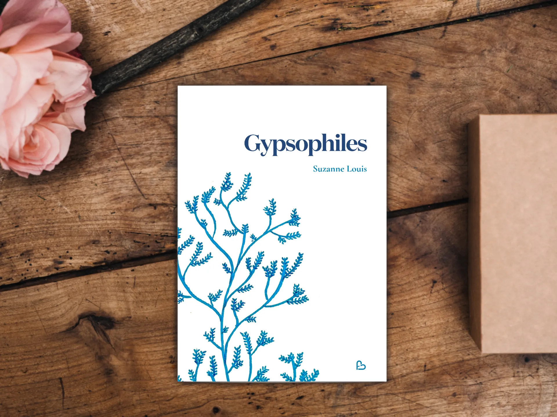 Cover of the book