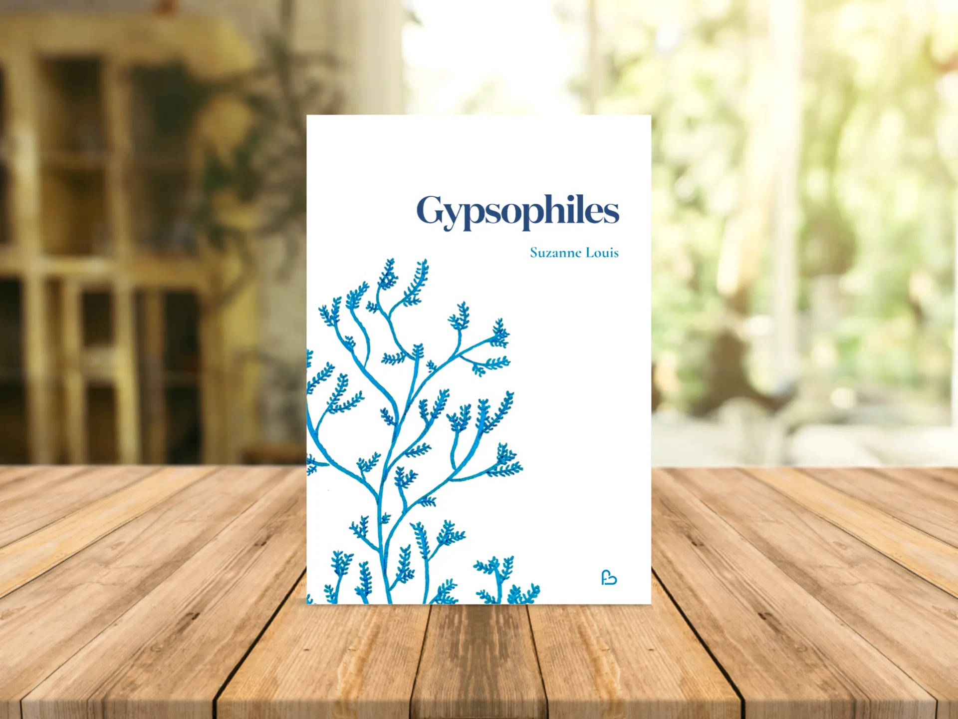 Cover of the book
