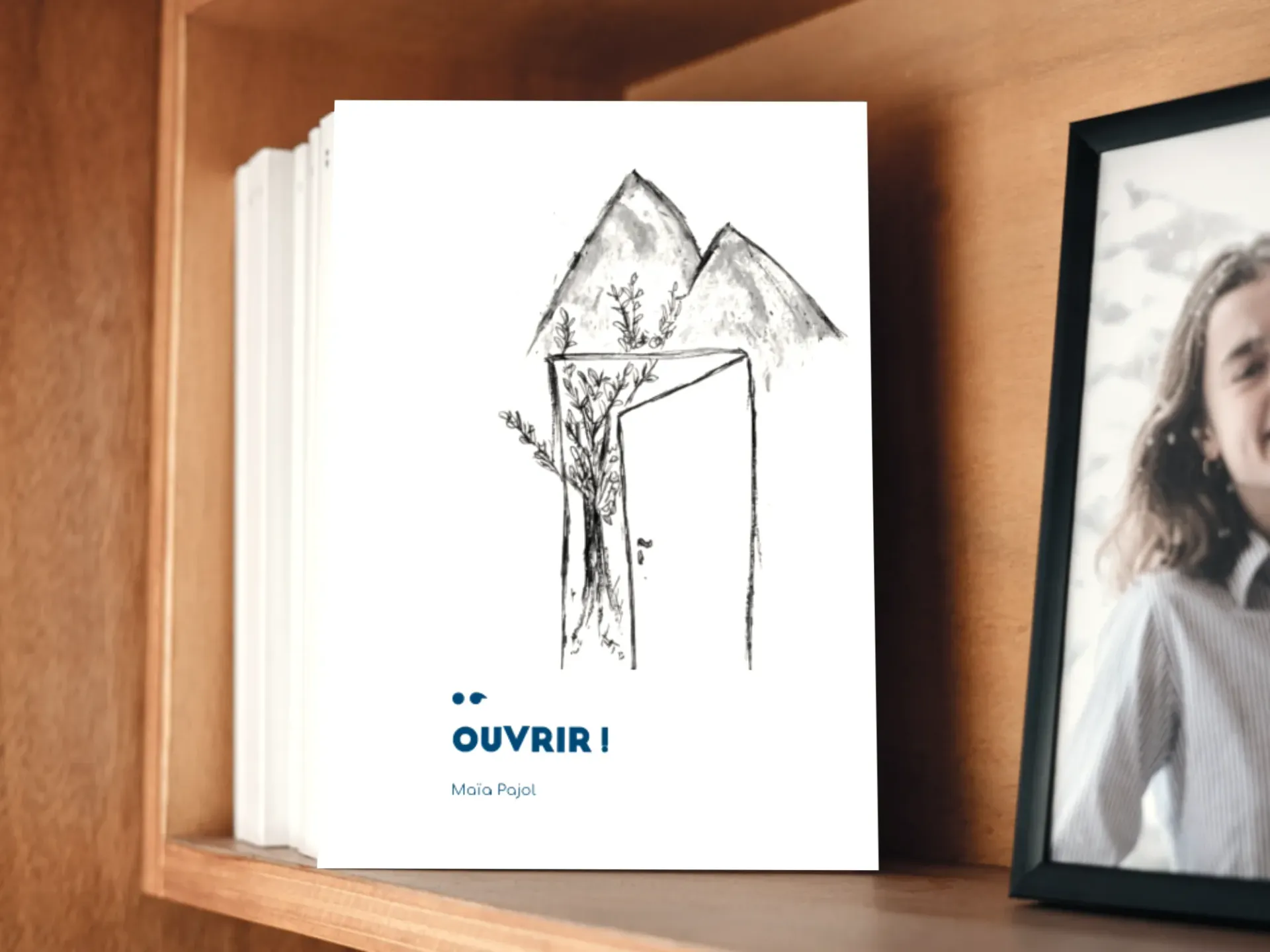 Cover of the book