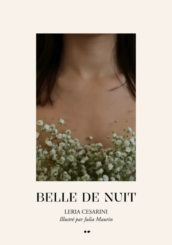 Cover of Belle de nuit